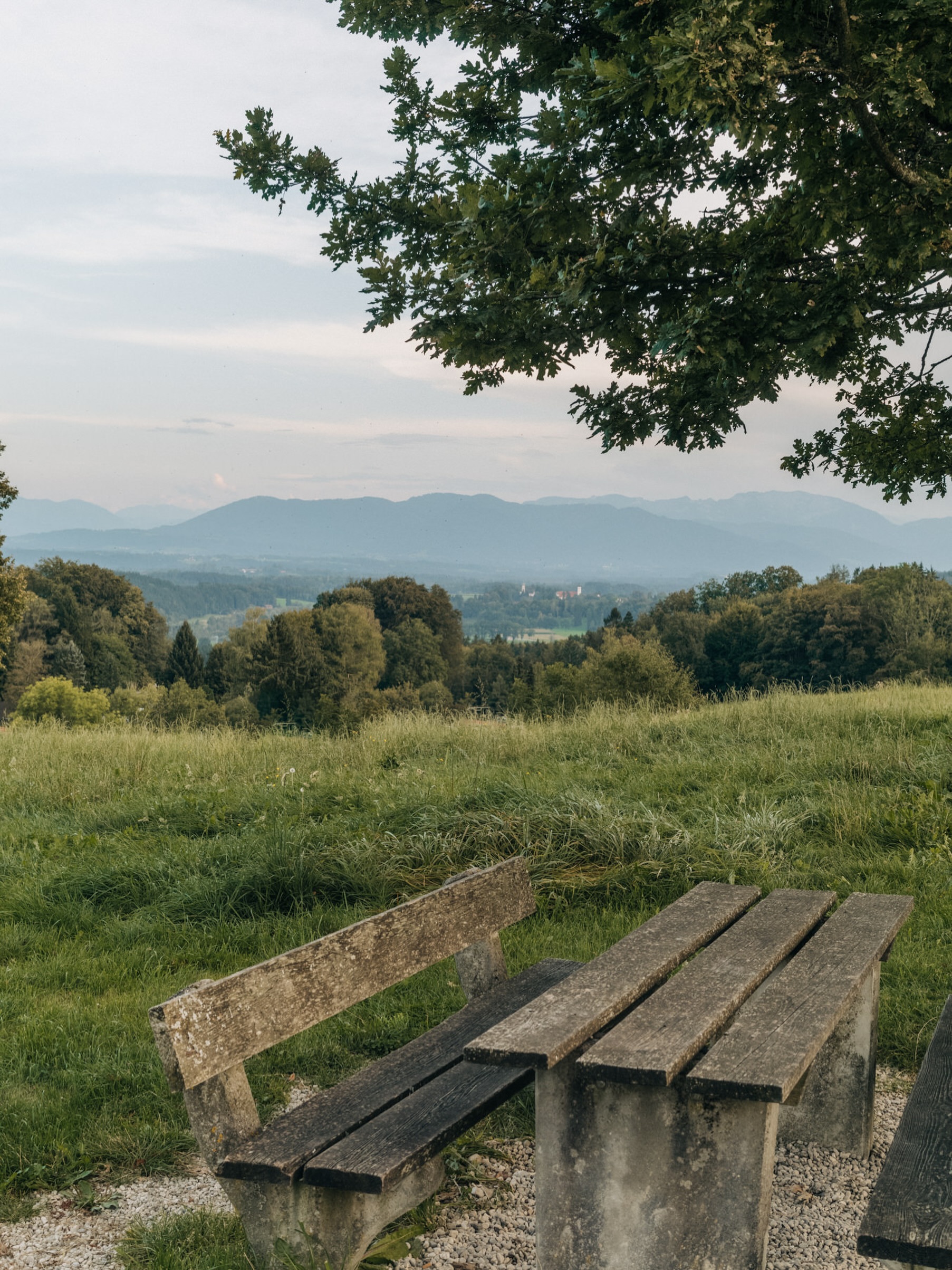 Weitblick.