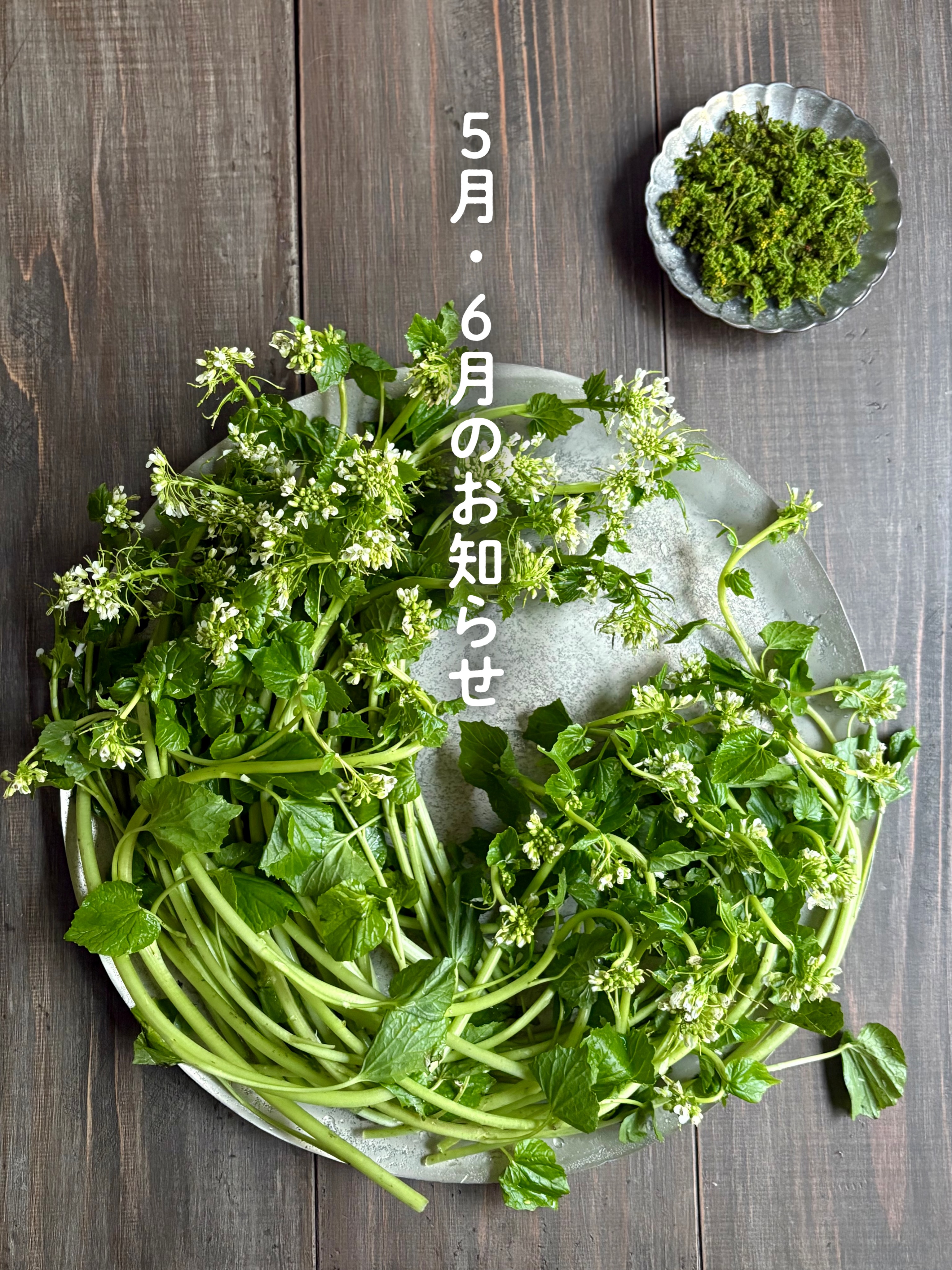 【🍀 5月・6月のお知らせ🍀 】
新緑の季節、キッチンスタジオの窓から見える木もモリモリと茂り、葉が鮮やかな緑になってきました。
スタジオへお越しの際は、そんな景色もお楽しみいただけたらと思っています。
さて、ただいま募集中の5月・6月のイベント(教室・ワークショップ)のお知らせです。
季節を愉しみながら手しごとの時間をぜひご一緒しましょう♪
ーーーーーーーーーーー
🍀5月・6月のイベント🍀
ーーーーーーーーーーー
*満席のクラスはキャンセル待ちを承ります。ご希望の方は、DMよりご連絡ください。
=========
《そば粉100%を愉しむ教室》
5月〈おやつの会〉
そば粉で和菓子づくり
よもぎ大福と季節のフルーツ大福
=========
5月27日(水) 13:00-16:00
そば粉を練り上げてつくるやわらかな生地で春らしい大福2種類をつくります。
=========
《豆の教室》
べにや長谷川商店
夏の豆料理(延期開催)
=========
5月30日(土) 11:00-14:30〈満席御礼〉
6月10日(水) 11:00-14:30
「手間が少ない」「できるだけ火を使わない」「さっぱり・冷たい」をテーマにした、暑い季節にも豆を美味しく食べる「夏の豆料理」をつくってランチにします。
=========
《低糖質・グルテンフリー料理教室》
発酵で整える、血糖値を見出さない
和食の再構築
=========
6月3日(水) 11:00-14:00
「砂糖や味醂に頼らず、発酵の力でやさしい甘味を引き出す」をテーマに、血糖値を乱さない、身体にすっとなじむような味わいの和食レッスンです。
=========
《季節を味わう保存食づくり》
夏の保存食
=========
6月17日(水) 11:00-14:30〈あと1席〉
6月20日(土) 11:00-14:30
夏が旬の食材を使い、4種類の保存食を仕込んでお持ち帰り。どれもアレンジがきくので、おうちでのごはんづくりが楽ちんになり、夏の食卓を楽しんでいただける保存食です。
=========
《そば粉100%を愉しむ教室》
6月〈お料理の会〉
そば粉のバンズでベジバーガー
&そばの実と夏野菜のスープ
=========
6月24日(水) 11:00-14:00
そば粉のバーガーバンズできんぴらなどの具材の和風バーガーとそばの実と夏野菜のさっぱりスープをつくります。
=========
青梅と、発酵と。
初夏を彩る「青梅しごと」ワークショップ
〈MURO×モリ乃ネキッチンスタジオ〉
=========
6月27日(土) 11:00-14:30
神楽坂にお店を構える麹の専門店「MURO」さんと、発酵食品と台所道具のライフスタイルショップ「MURO daidokoro」さんの姉妹店とのコラボ企画ワークショップ。
青梅と発酵食品などを使って、4種の保存食、調味料を仕込みます。梅づくしのランチ付きです。
ーーーーーーーーー
詳細、お申し込み、お申込み締切などは
プロフィール欄の「イベントのご案内」リンクURL、またはハイライト「募集中のWS」をご覧ください。
@morinone.ks
ーーーーーーーーー
5月・6月もみなさまのお越しをお待ちしております。どうぞよろしくお願いいたします!
.
#ワークショップ
#教室のお知らせ
#モリ乃ネキッチンスタジオ