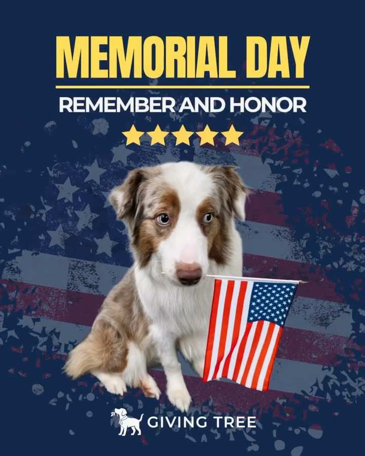 Happy Memorial Day from all of us at Giving Tree! 🇺🇸
Wishing you a peaceful day filled with love, gratitude, and time with your loved ones 🐶💕
#GivingTree #Virginia
#GivingTreeK9Club #Fallschurch
#GivingTreePetResort #Reston
#GivingTreePetSpaAndLodge #Alexandria
#Memorialday #RememberAndHonor
