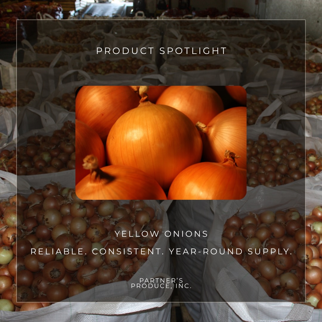 Product Spotlight: Yellow Onions 🧅
Reliable. Consistent. Year-round supply.
Yellow onions are the most widely used onion variety thanks to their balanced flavor and versatility in cooking. Fun Fact: Yellow onions make up nearly 75% of onion production in the U.S., making them the most commonly used onion in cooking!