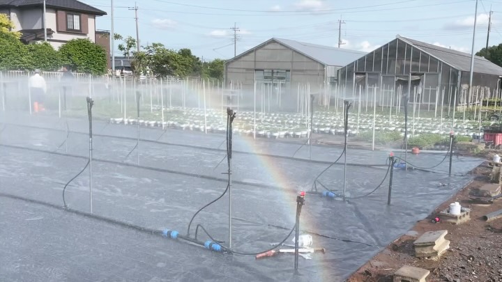 こちらは
ナーセリー向けの灌水システムです。
小さい面積に対して集中的に
細かい粒子で灌水する『Tスプレーノズル』
and
小さいな