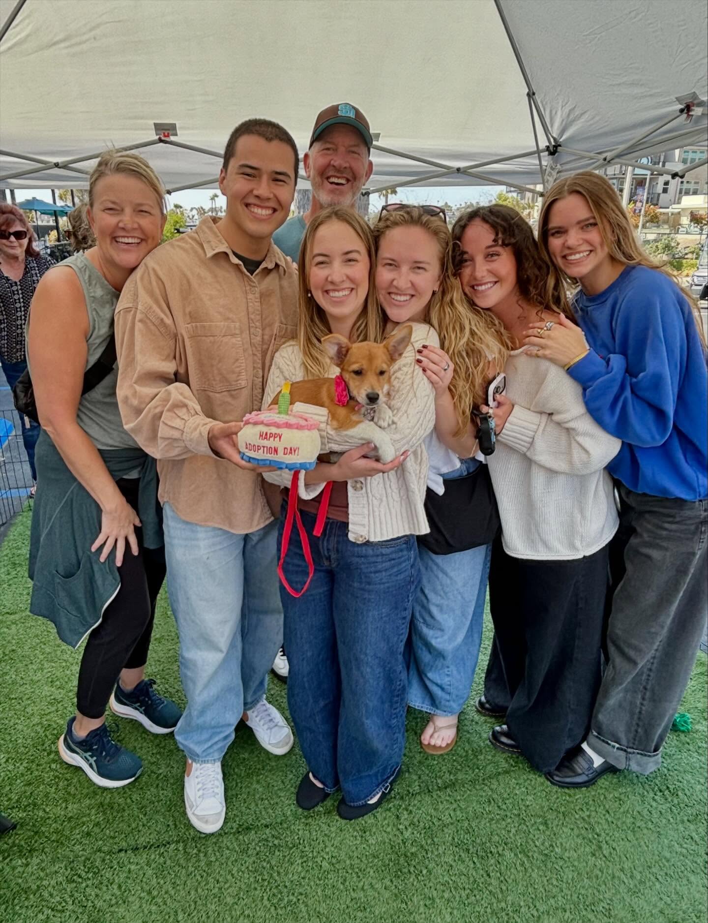 Thank you @southobrewingco & @tradecraftfarmsvista for helping 6 of our ALMA pups get ADOPTED! 🎊
Thank you to each of our amazing adopters for making the choice to save a life and adopt, to our wonderful ALMA volunteers who helped so much at our Adoption Events & to each of our awesome fosters for all that you do to help our dogs on their rescue journeys. What a happy weekend! 💛🧡💛
#adoptdontshop #adopted #savealifeadopt #rescuedisourfavoritebreed #almarescuv