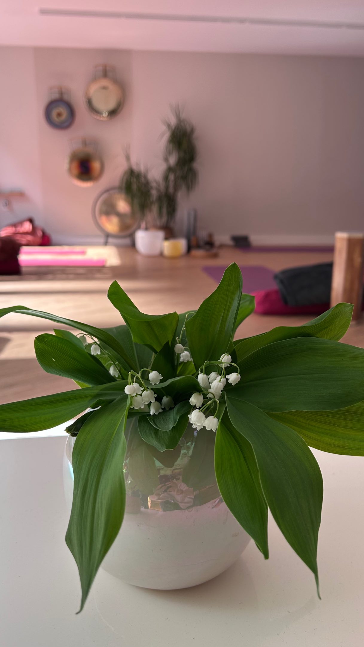 Quand le son devient cadeau ✨
Pour la Fête des Mères, on sait que le plus précieux reste votre présence, votre sourire et ces instants partagés. Mais si cette année, vous accompagniez cette attention d’une vibration particulière ?
Parce que le son a ce pouvoir unique de toucher l’âme et d’apaiser l’esprit, @yogimarket.fr vous propose quelques pépites sonores :
Le Carillon Koshi 🌬️Pour une mélodie féerique au gré du vent.
L’Arbre de pluie 🌧️ Pour le murmure apaisant de l’eau qui s’écoule.
Le Bol Tibétain🥣 Pour un ancrage profond et une méditation quotidienne.
Les propositions de Soundyoga c’est plus qu’un présent, c’est une expérience sonore !
Un soin sonore individuel aux Diapasons 🌀Une expérience sensorielle inoubliable !
Une séance de Bain de Gong collective 🌊 Une immersion vibratoire puissante et libératrice.
Que ce soit un instrument à faire chanter chez soi ou un moment hors du temps en studio, offrez-lui la magie de la sonothérapie.
🎁 Bons cadeaux et instruments disponibles sur le site internet ou bien au centre 17 rue de Pierrefonds.
Au plaisir de vous accompagner dans cette belle attention. 🙏 #soundyogacompiegne #compiegne #boncadeau #fetedesmeres