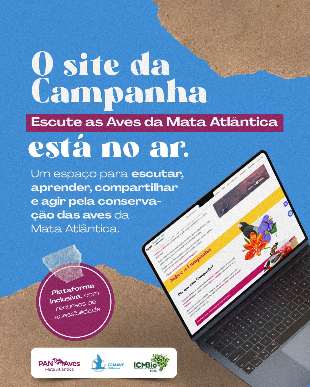O site da Campanha “Escute as Aves da Mata Atlântica” já está no ar. 🌿🐦
Um espaço para escutar, aprender, compartilhar e agir pela conservação das aves da Mata Atlântica.
No site você encontra materiais gratuitos, conteúdos educativos, informações sobre espécies ameaçadas, ações do PAN Aves da Mata Atlântica e formas de participar da campanha. O site foi construido de inclusiva, com recursos de acessibilidade que traz uma perspectiva inclusiva e contempla recursos de acessibilidade, com intérprete de Libras, audiodescrição,
Mais do que uma plataforma, o site é um convite à escuta: das florestas, das aves e dos territórios que ainda resistem.
🔗 Acesse: escuteasaves.com.br
Porque quando os cantos desaparecem, a floresta também silencia.
#EscuteAsAvesDaMataAtlântica #SomosParteDissoEIssoImporta #MataAtlântica #Conservação #Aves