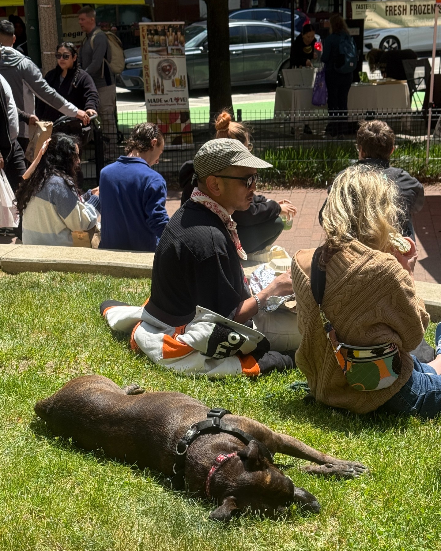 Tuesday mood coming back from a long weekend 😴🐶☀️
ㅤ
But don't worry, because that means we're already closer to another market morning in the park!
ㅤ
We'll see you on Saturday for another morning stroll through your favorite market:
🧡 Saturday mornings
🗓️ May 16 - Oct 31 (no market 7/4 or 9/12)
⏰ 9am - 1pm
📍 Outdoors in Printers Row Park (632 S. Dearborn St)
🐶 Pet friendly