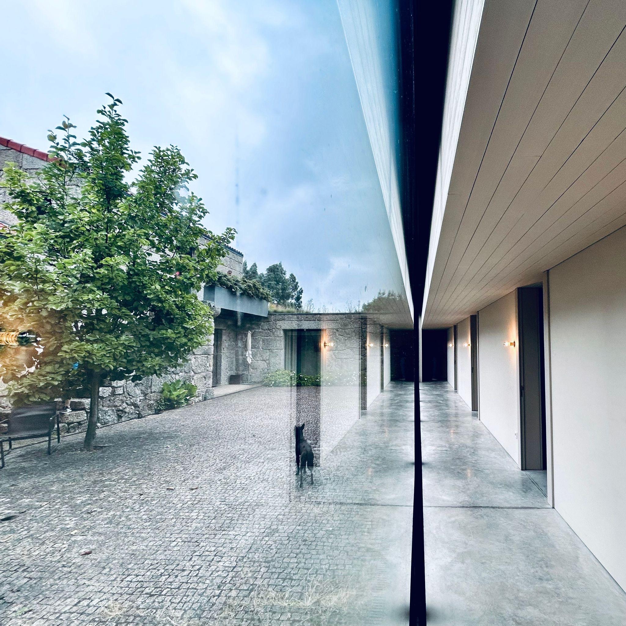 A Quinta dos Encados é, acima de tudo, um lugar onde a criatividade respira.🌿✨
Foto: Daniel Camacho (@daf.camacho)
__
EN
Quinta dos Encados is, above all, a place where creativity breathes.🌿✨
Photo: Daniel Camacho
#QuintadosEncados #RegiaoDemarcadaDosVinhosVerdes #Accomodation #Criativity #WineTourism