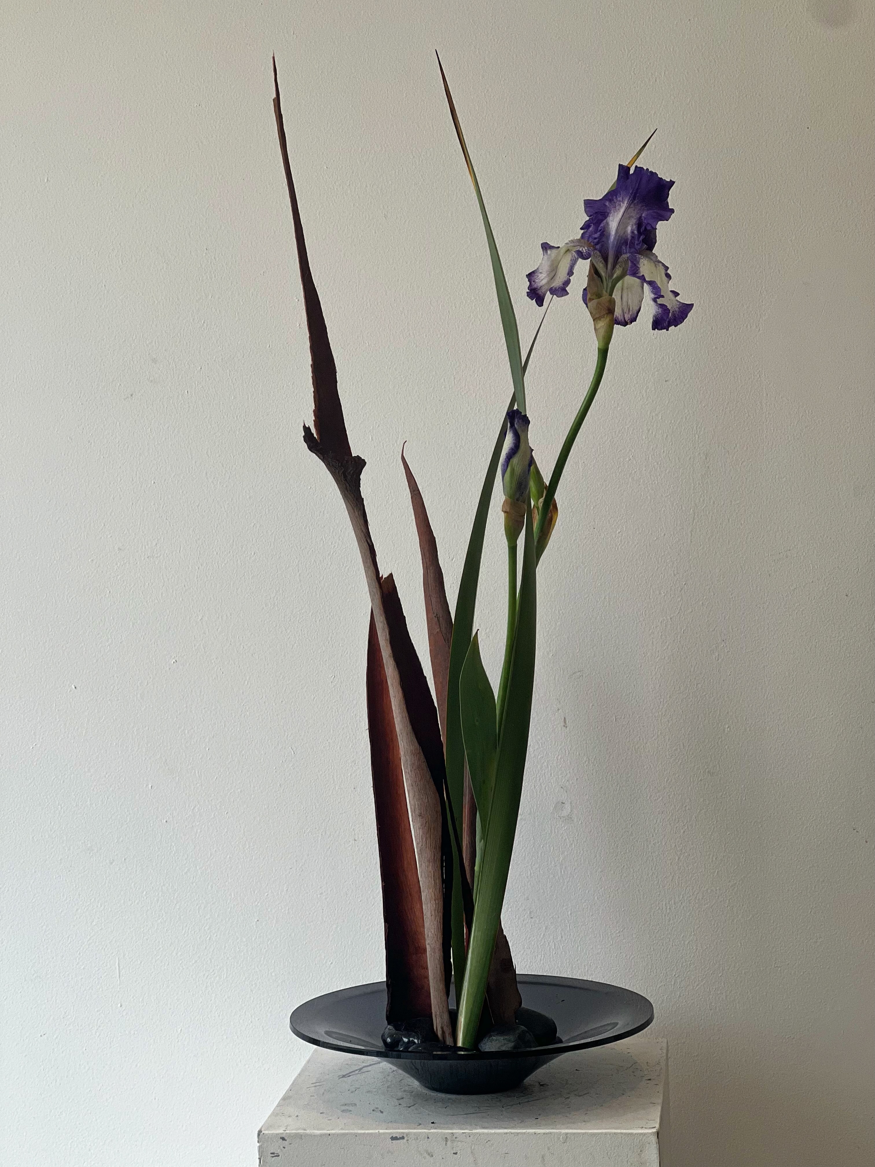 Iris
overwhelming beauty
painting
single stem
space
radiance
delicacy
quiet fracture
ephemeral
Japanese aesthetics
アイリスの圧倒的な美しさ
まるで一枚の絵画のように
一本の姿だけで、深い印象を残す
煌びやかさと、静かな繊細さ
その奥に、儚さを秘めながら
日本の美意識を映す花