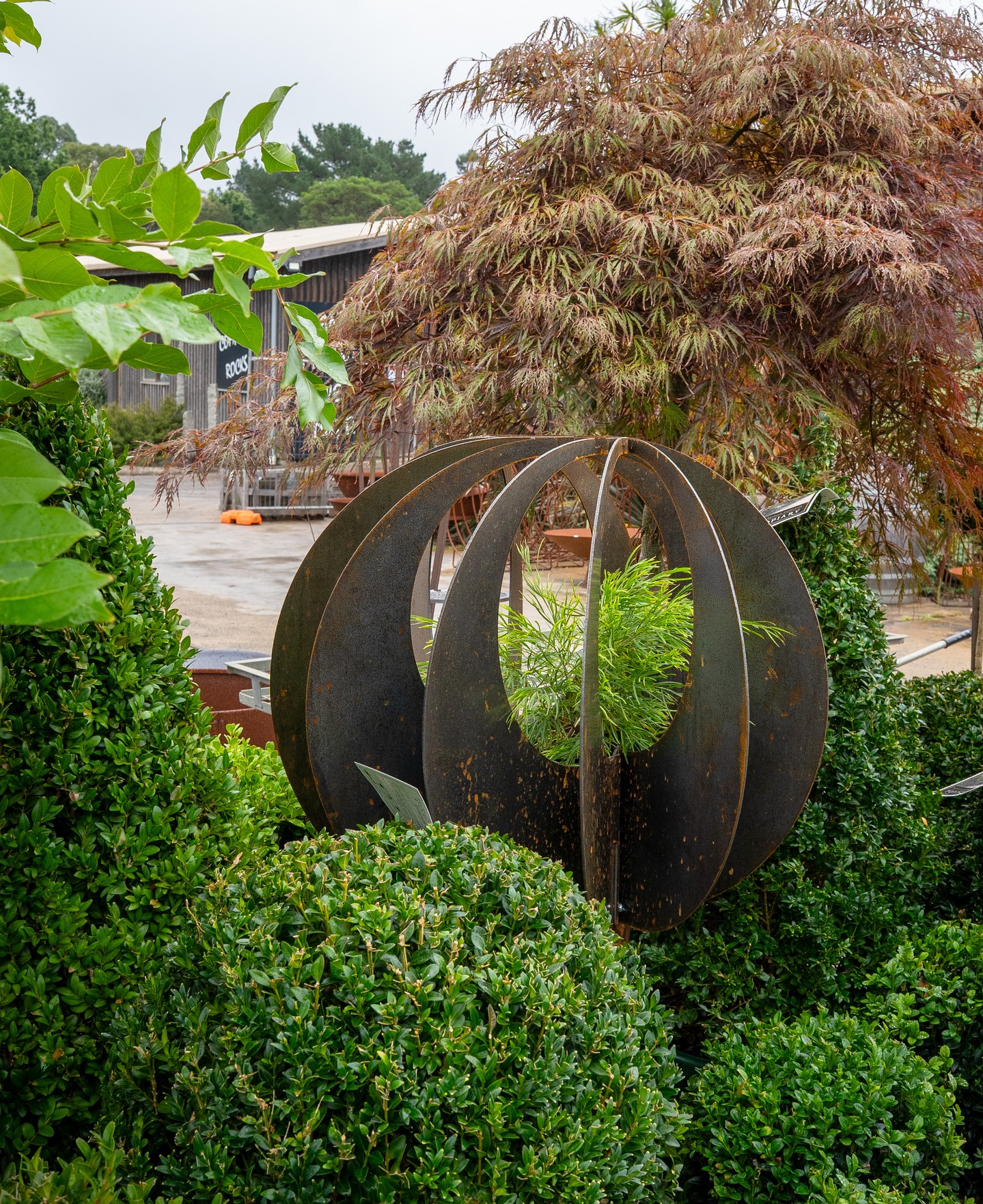The Bauble by Kelly Metal, photographed among the nursery stock at Macedon Nursery & Garden Supplies. The open-form sphere is designed with a central planting opening, so the sculpture and whatever grows through it become a single composition.
At 675mm wide and 29kg, it sits securely without anchoring and works as a standalone feature or as part of a broader planting scheme. The corten steel darkens and stabilises over time, as visible here on the nursery floor.
#macedonnursery #gardensculpture #gardendesign