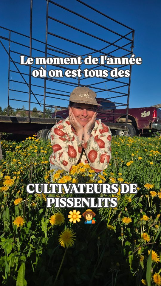 Les gazons prennent leur vocation agricole 🤣🌼
Mais si tu veux cultiver d'autres choses, notre vente de plants à lieu tous les week-ends.
Vendredi, samedi et dimanche,
10h à 17h
Et on a des asperges 🥰