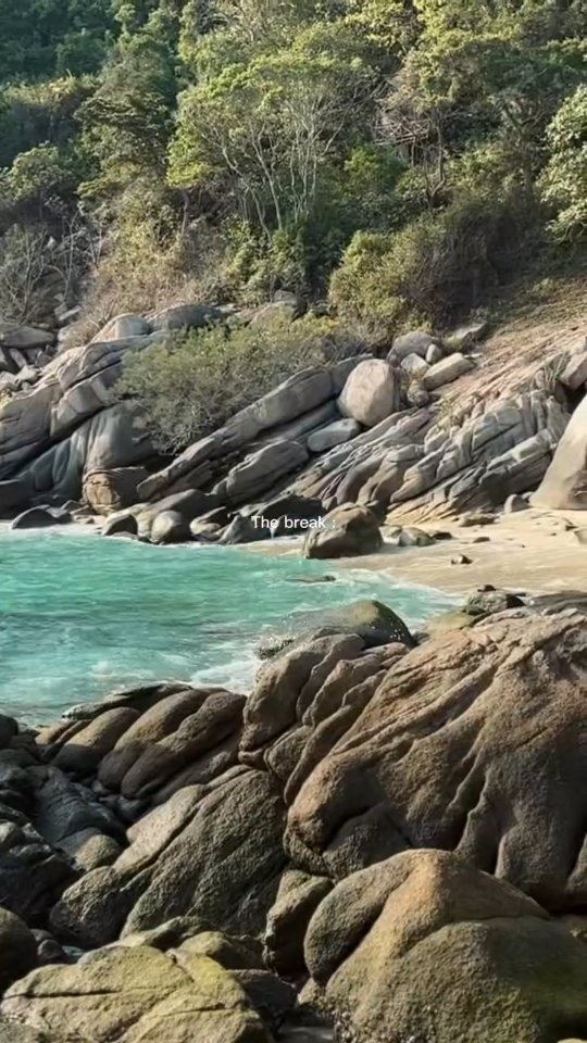 Koh Tao trip is waiting for you 🐢
.
.
#TDEX2026
#ThailandDiveExpo2026
#เรียนดำน้ำเกาะเต่า
#thedearlydive
#kohtaodiving