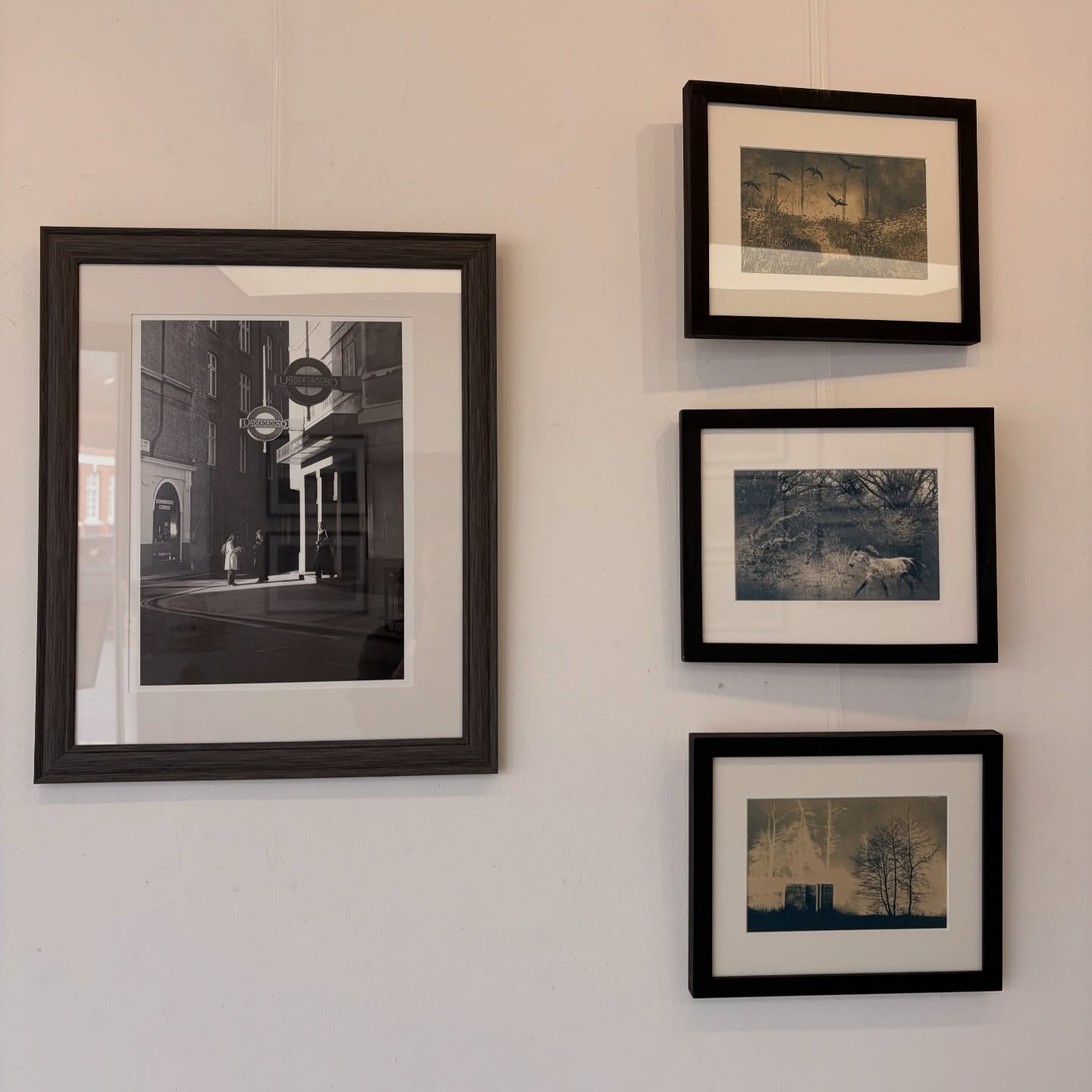 Exposure Exhibition ✨
Currently showing at @142artgallery in Felixstowe 👏🏼
Open Monday & Tuesday 10am - 4pm & Wednesday 10am - 1pm
Come and check out the work of 15 photographic artists or pick up a copy of our zine featuring 44 artists from Suffolk, Norfolk, Essex and beyond! ✨