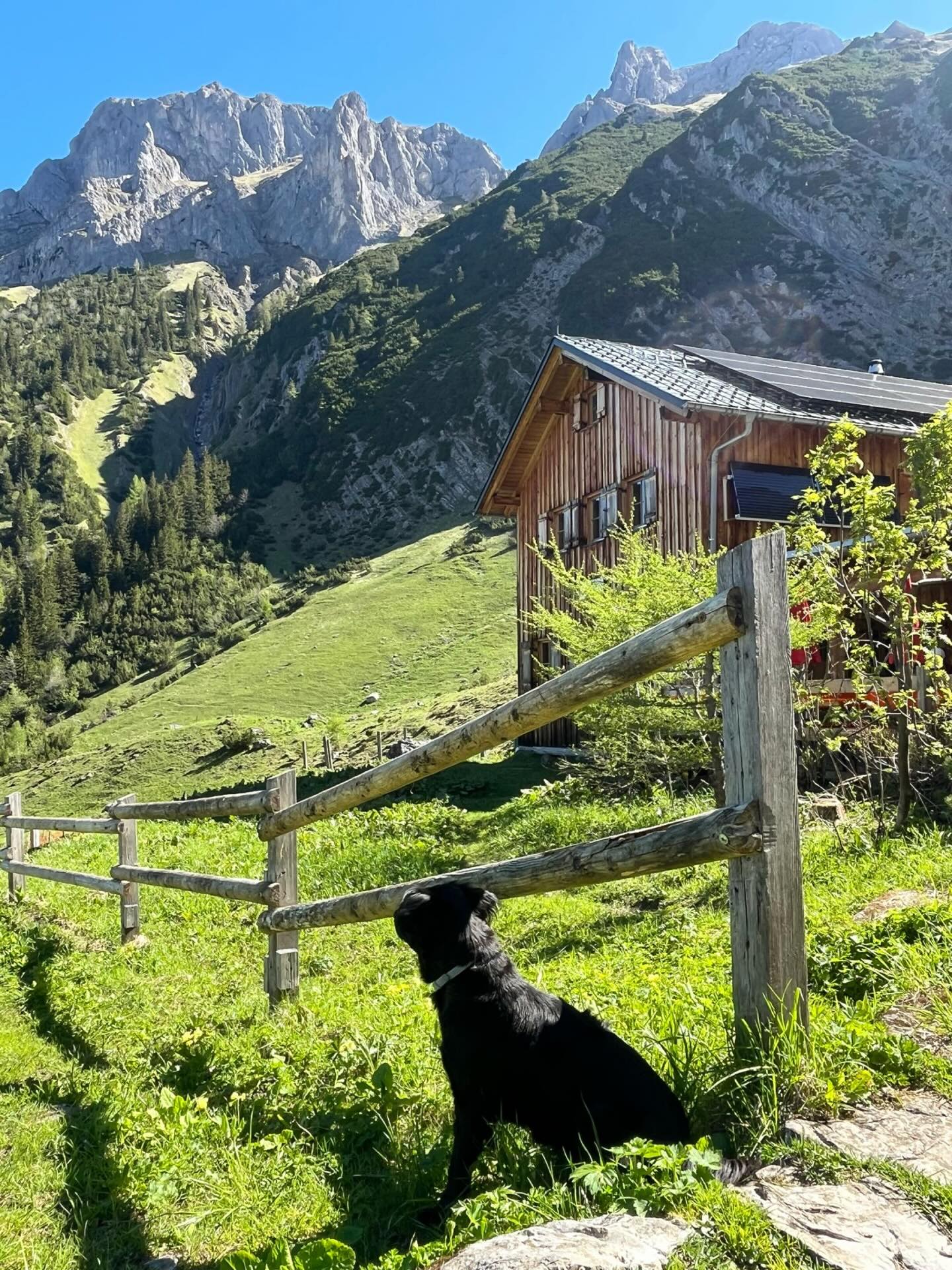 Perfekter Start in den Bergsommer ☀️⛰️
Bestes Wetter, super Gäste und ganz viel Sonne — genau so darf der Saisonsbeginn aussehen 🫶
Wir freuen uns riesig auf die kommenden Monate, viele schöne Momente am Berg und natürlich auf alle weiteren Besucher 🧡
Bergsommer 2026: we are ready ✨
#sarotlahütte #alpenvereinshütten #bergsommer #besteswetter #wandernmachtglücklich