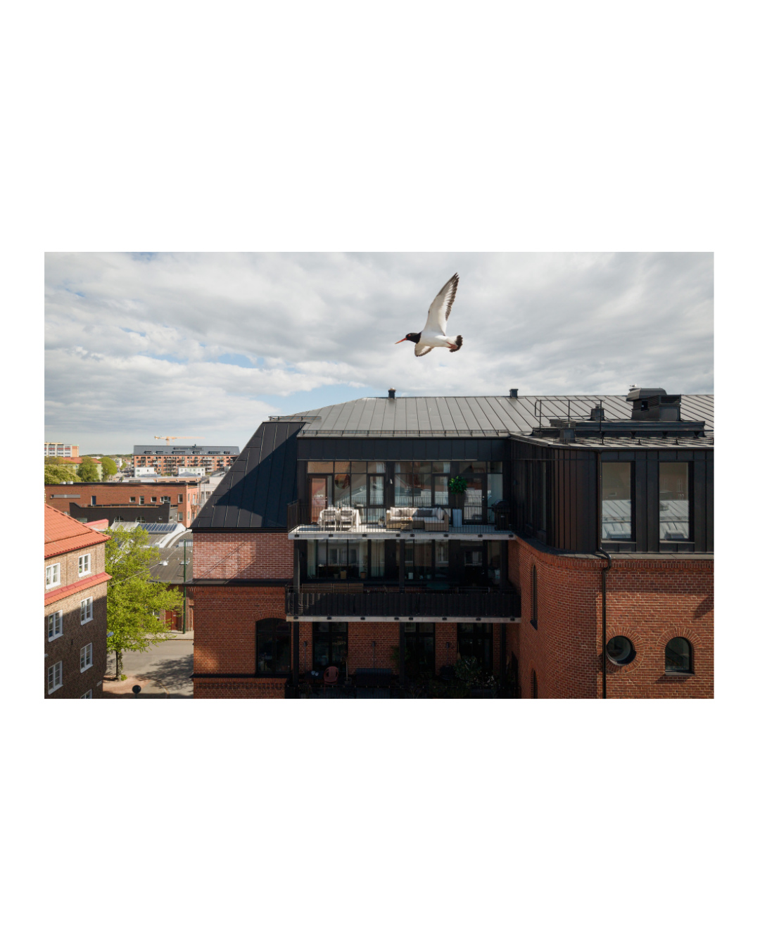 Måsutsikt och Malmö-magi. 🕊️
📸: @astorsvensson
Mäklare: Thierry Asso, @bjurfors_malmo_city