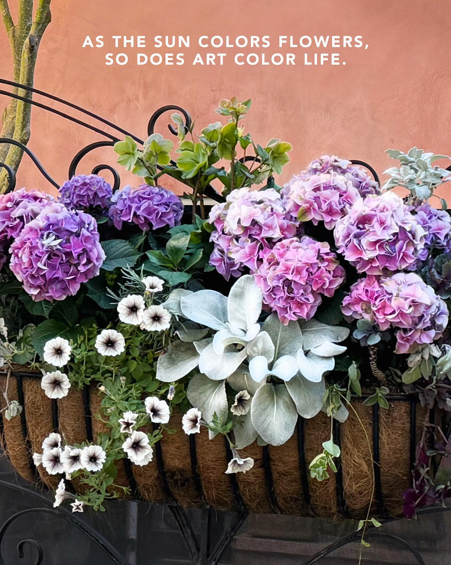 Be sure to get out and enjoy all of the gorgeous colors of the spring and have a very happy Memorial Day!!