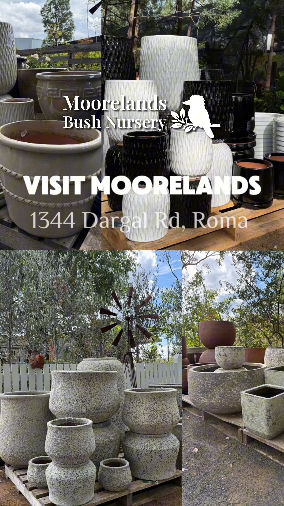 Fresh pots have landed at Moorelands. 🪴
From small character pieces to statement size, there's something here for every plant you've been meaning to repot (and a few you didn't know needed a new home yet).
Come out and see us this weekend and have a wander through. The Moorelands team are always happy to help you match the right pot to the right plant.
📍 1344 Dargal Road, Roma
🕘 Mon-Fri 9am-2pm
🕘 Sat & Sun 8am–4pm