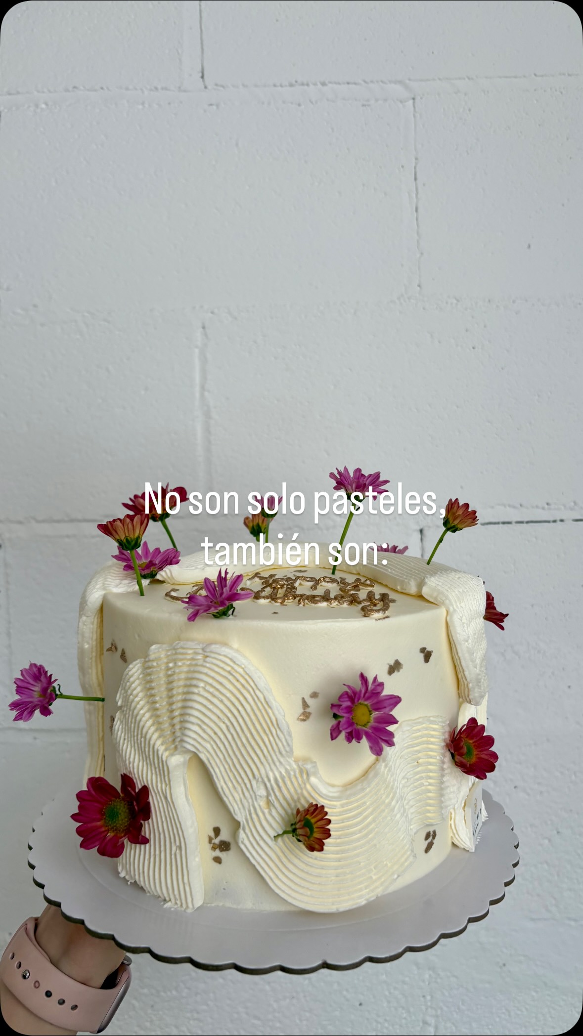 No son sólo pasteles, también son todas vuestras historias y nos emociona ser parte de todas ellas.🫶🏻✨🥰
Más de 14 años dejándonos estar en vuestras celebraciones, ¡es increíble!
Con nosotros podéis hacer el pastel que queráis escogiendo sabor y decoración. 🎂
✨🧡
•
They’re not just cakes, they’re all your stories, and we’re thrilled to be a part of them. 🫶🏻✨🥰
Over 14 years of letting us be part of your celebrations—it’s incredible!
With us, you can create the cake you want by choosing the flavor and decoration. 🎂
✨🧡
#cakes #viralvídeo #trendycake #weddingcakes #bakerylife