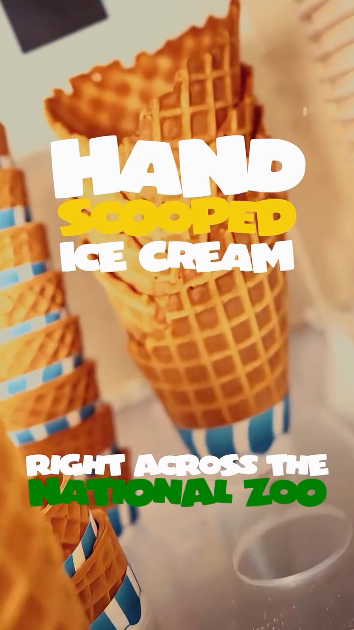 Hand scooped. No shortcuts.
Rich, creamy, and piled just right every single time. Whether you’re keeping it classic or going all in on toppings, this is how ice cream is meant to be done.
Stop by FrozenYo and get it the right way.
#FrozenYoDC #HandScooped #IceCreamDoneRight #DMVDesserts #SweetFix