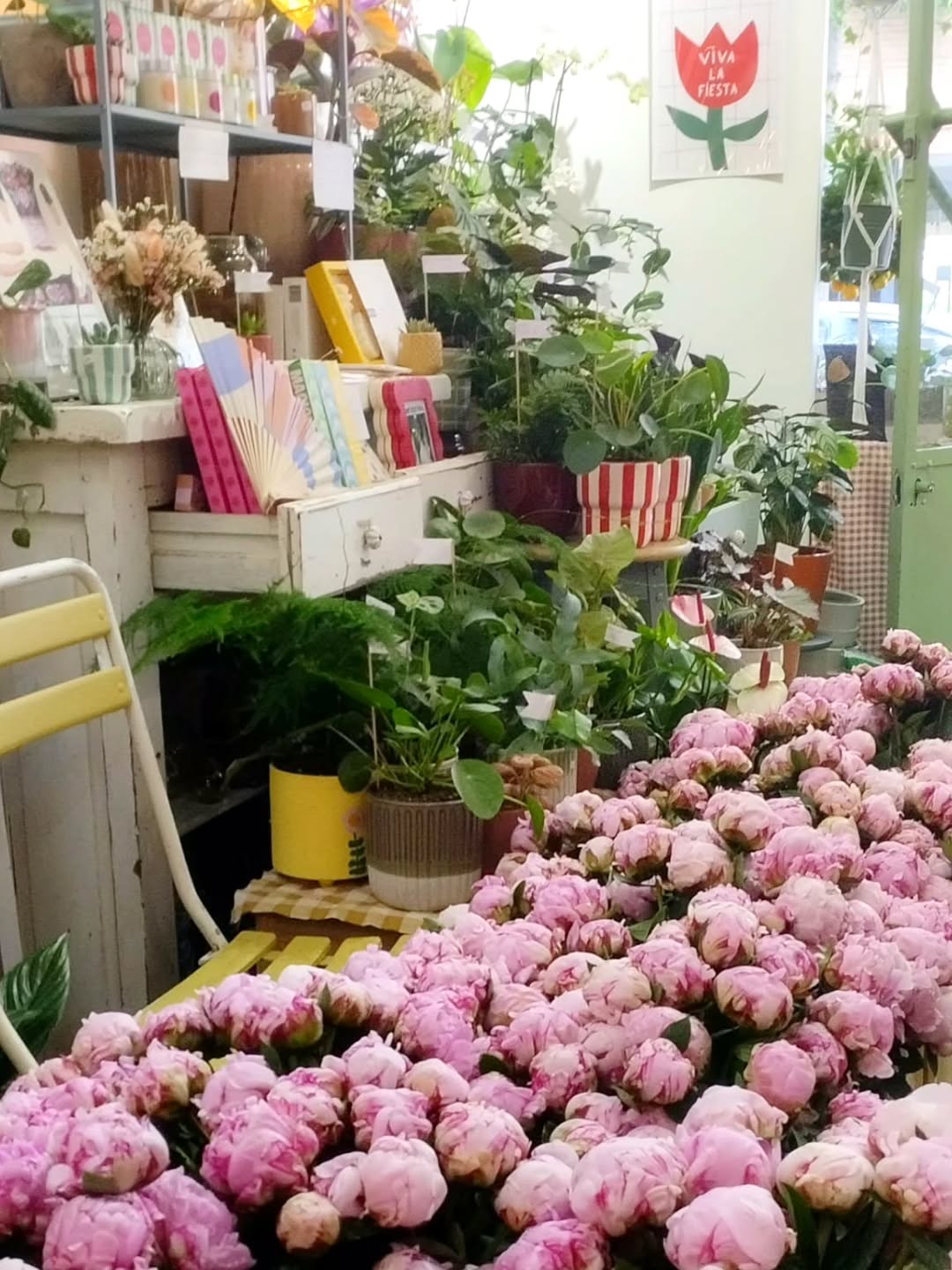 Pour les fans de Pivoines, c'est le moment de (se) faire plaisir !! Compte tenu des fortes chaleurs et leurs arrivées très précoces, cela sera sans doute une des dernières semaines de production.
Horaires Fète des Mamans ;
Samedi 10h-19h30 en continu
Dimanche 9h-14h
Possibilité de commander nos jolis bouquets jusqu'à vendredi soir. Cela vous permet d'avoir plus de choix, un bouquet sur mesure (aucun minimum de prix chez nous), pas d'attente au moment du retrait, nous aider dans la fluidité de l'accueil des clients et pour prévoir nos stocks.
Commande par mail (lejardindelucette@gmail.com) , téléphone 05 61 99 67 62, ou directement à la boutique
》Le Jardin de Lucette, Artisanes Fleuristes, 34 rue de la Concorde, 31000 Toulouse, du mardi au dimanche.