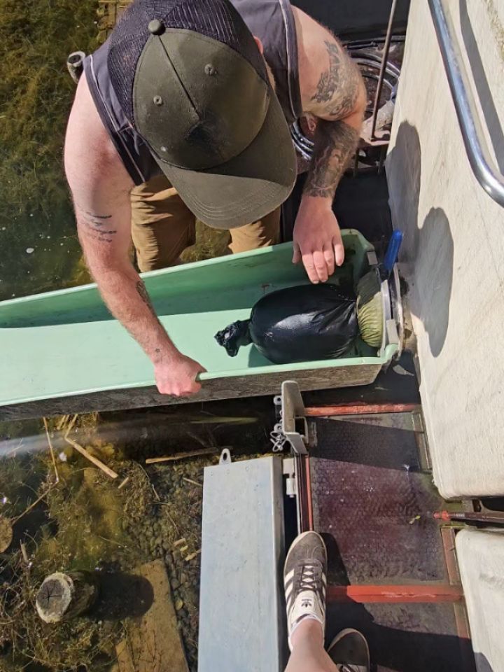 🐟 Fresh Trout Stocking 🐟
Another great stocking day at the fishery with 2 tanks of fresh trout added to the lake ✨️
The lake is looking spot on and the fish are settling in nicely ready for some great sport over the coming days. Tight lines if you’re heading down! 🌊
#flyfishing #stillwater #troutlake #troutonthefly #troutdelivery