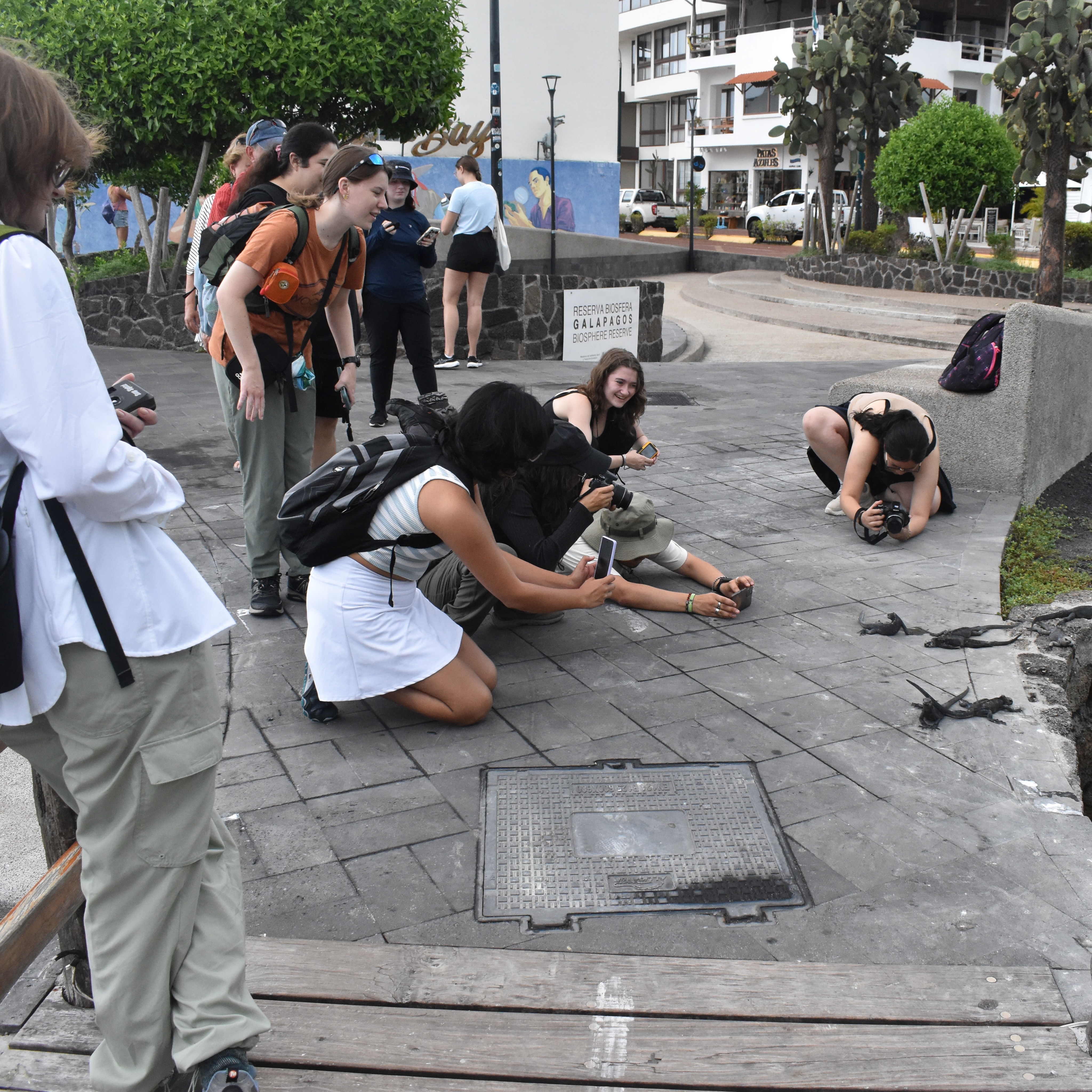 The day started with a walk along the #waterfront to the UCE #campus with lots of stops to observe the #wildlife. We unpacked and organized all of the equipment in preparation for the #course. The afternoon was independent #exploration and we gathered for a group dinner. It is setting up to be a fantastic field course - class officially starts tomorrow. @fauecos @fauscience @abigail.scigliano @allietrost @brileigh_rayl @sofia_jans @birdwitdaravioli @anneliesel06 @eba1yn @jo.lamaison