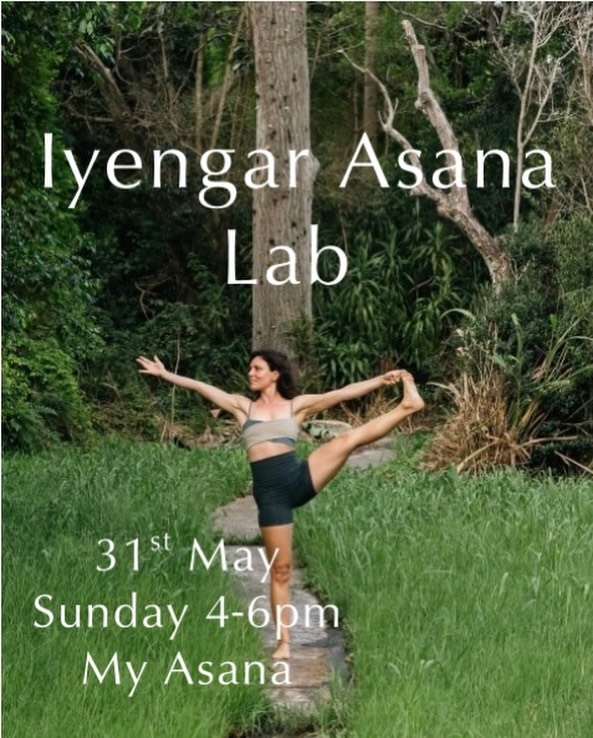 Don’t miss out on our very last Iyengar workshop with the lovely @loulemaistreyoga before she heads off on a little adventure. Lou has so much depth and knowledge to offer. Members dm for discount code 💛