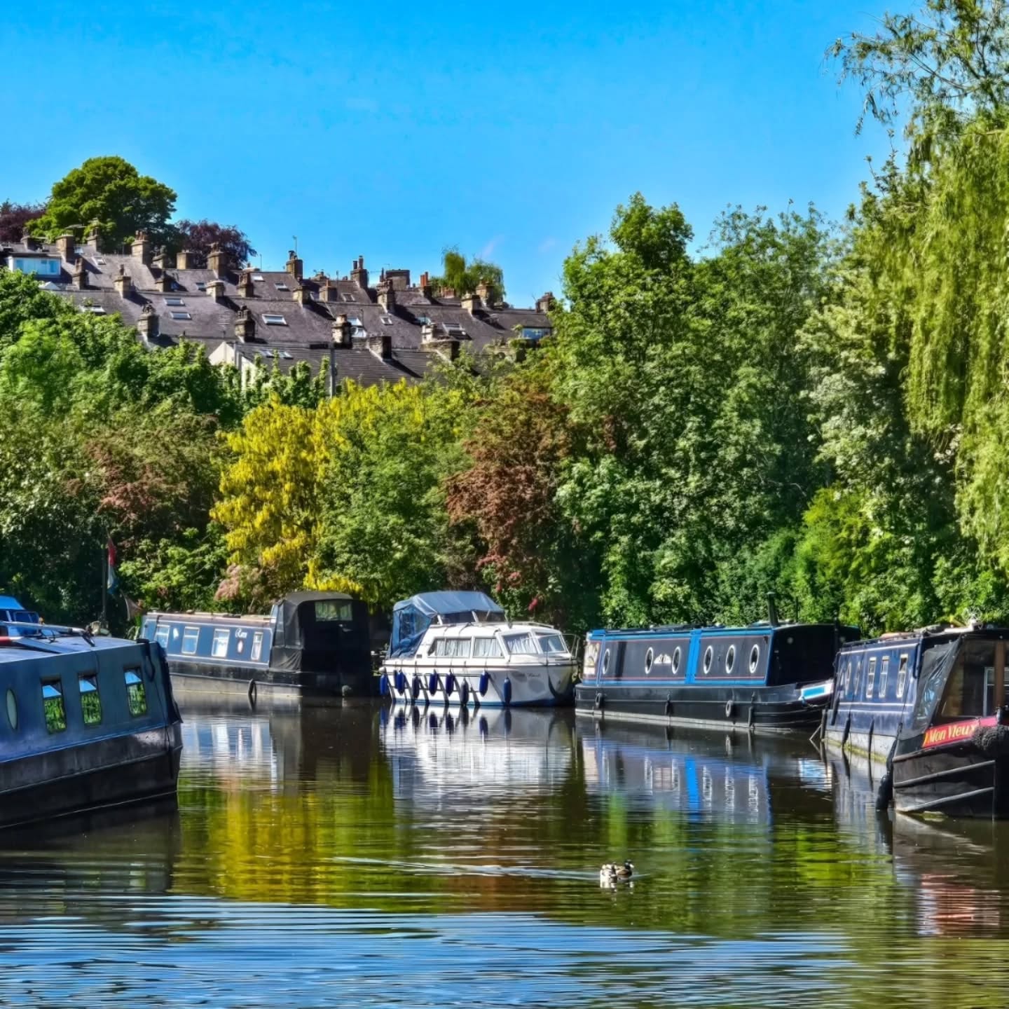Taking the scenic route on a slow sunny day sounds perfect to us 😍
The Leeds and Liverpool Canal runs through the market town of Skipton so why not moor up for a few hours and explore 👀
📍Skipton
📸 credit: @mmetricmoments
#visitnorthyorkshire