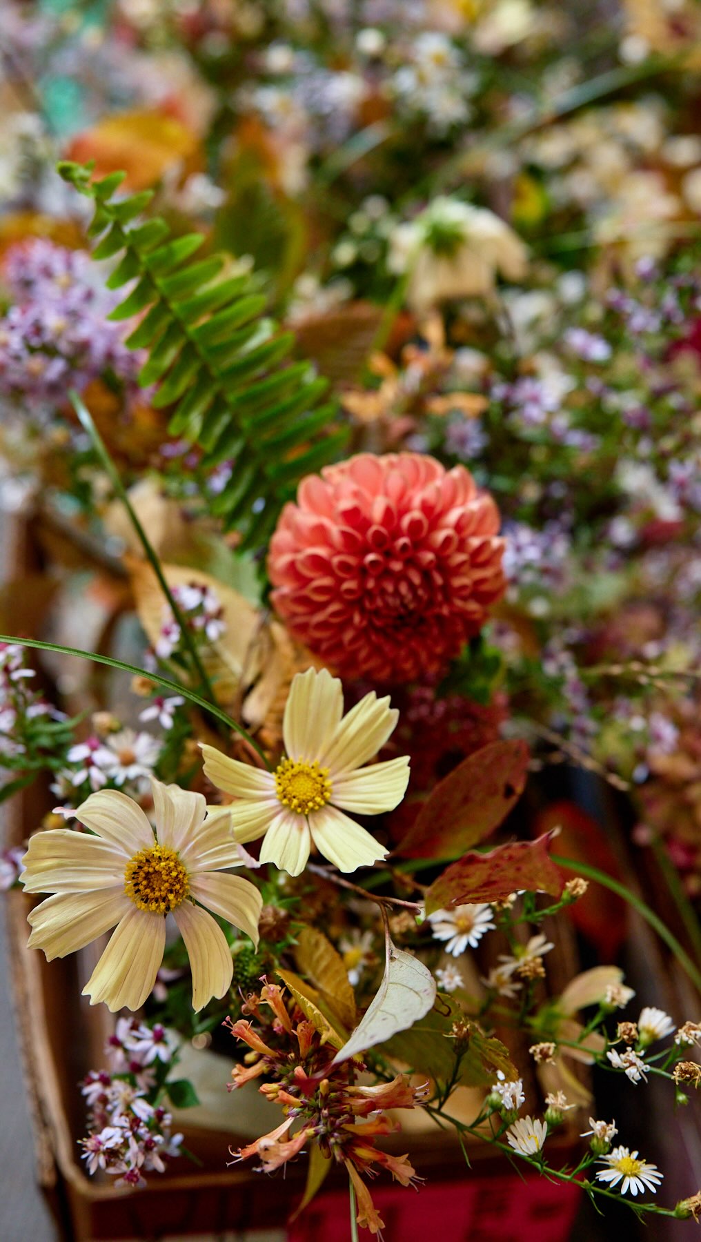 Let’s face it, in the beginning, we all had to start somewhere! — What would be one piece of advice you would tell your younger self who was about to embark on the new journey with flowers?
In this sneak peek clip of this week’s Slow Flowers Podcast episode, we have a valuable conversation with Rebekah Mindel of @meadowwilds on the topic of growing and designing weddings with a sense of season and place!
Stream Episode 680 this Wednesday, May 27th!
Happy Memorial Day! 🇺🇸🌹♥️
#slowflowerssociety #slowflowers #slowflowersmovement #sustainablefloristry #sustainabilty