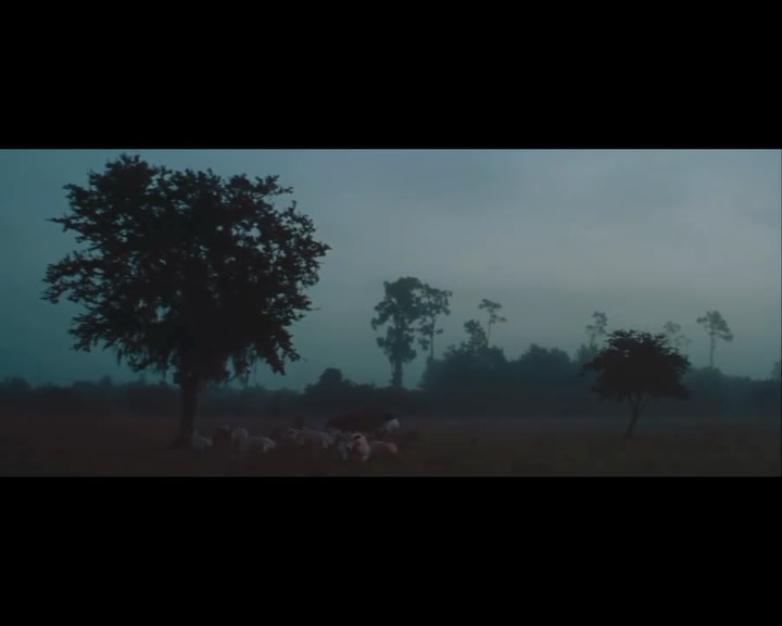 Beef. 2020. Cannes Quinzaine des Réalisateurs (shortlist). Experimental Spirit Award, Brooklyn Film Festival. Best Experimental Film, Nashville Film Festival.