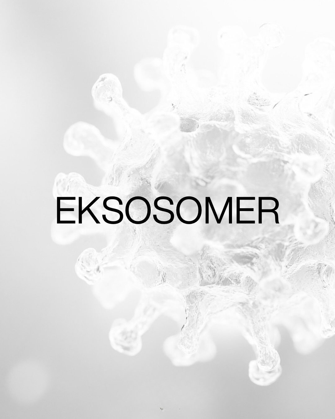 Små budbringere som hjelper celler med å kommunisere, reparere og regenerere 🦠
Disse planteavledede, biomimetiske eksosomene er utviklet for å etterligne kroppens egne cellesignaler og støtter hudens naturlige fornyelsesprosess.
🧬 Stimulerer kollagensyntesen
🧬 Forbedrer hudtone og tekstur
🧬 Sunn glød og forbedret hudkvalitet
Kombinert med liposomerte vekstfaktorer og DNA-kompleks kan de bidra til raskere restitusjon etter hudbehandlinger – for en roligere, sterkere og sunnere hud.
Eksosomer inkluderes i våre nye pHformula signaturbehandlinger; MESO + EXOS Glow Treatment og MIXIT - Meso Expert Treatment 💆🏼♀️
Du finner det også i MESO x boost 🤍