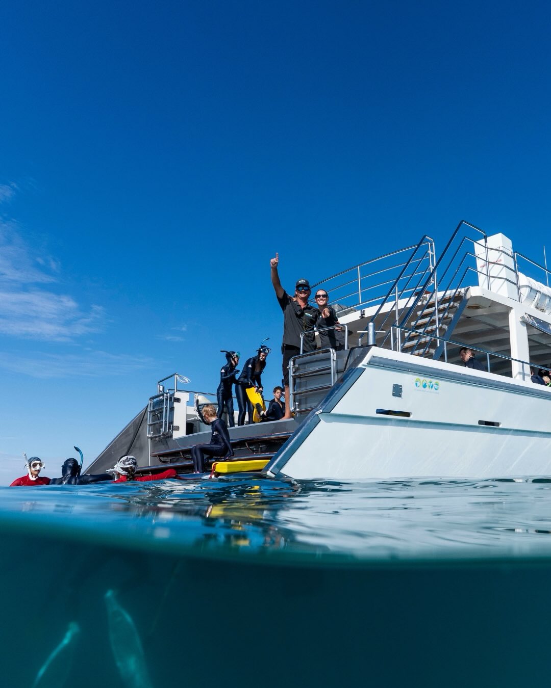A few moments from out on the reef lately 💙
Different days, different faces, same incredible experience. From swimming alongside gentle giants to sunny snorkels and time spent out on the water with the crew, every day out here brings something special. ✨
Photos @lauratierney @beclaidlaw.photography
#exmouth #ningalooreef #swimmingwithwhalesharks #exploreningaloo #thisiswa
