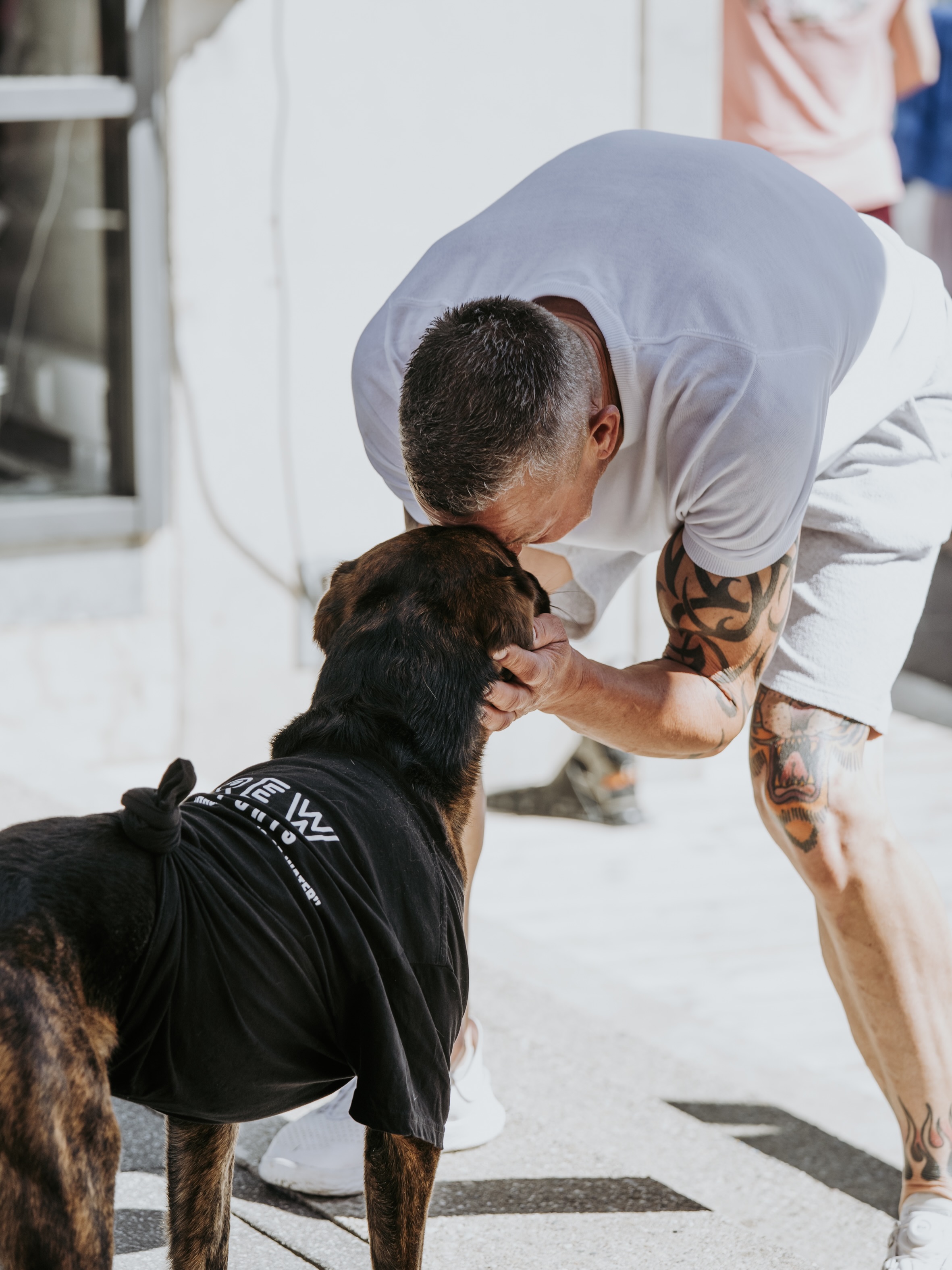 ♥️ Willkommen Endy & Fonsi ♥️
Seit über 20 Jahren Local bei uns am See und ab dieser Saison jetzt auch offiziell Teil des Wetsports Führungsteams.
Andy unterstützt uns im Shop und im operativen Bereich und bringt dabei nicht nur jede Menge Erfahrung, Leidenschaft und Überblick mit, sondern vor allem echten Wetsports-Spirit.
Und weil ein starkes Team selten allein kommt:
Fonsi hat sich mindestens genauso schnell seinen festen Platz bei uns gesichert 🐾
Spätestens seit dem ersten Tag ist klar er gehört längst zur Crew und wurde von allen sofort ins Herz geschlossen.
Schön, dass ihr beide da seid 🤘
Welcome to the team!
Fotos: @dhoeck.photo_
#wetsports #teamwetsports #wakeboardlife