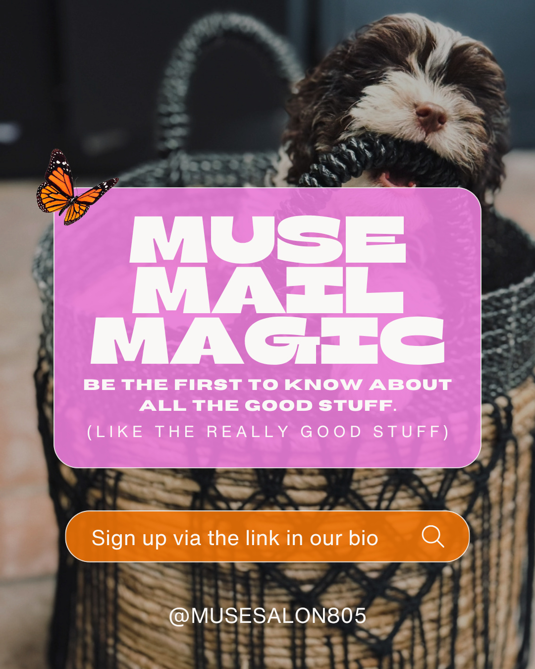 The best kind of inbox energy ✨💌
Muse Magic is officially your new favorite newsletter. Think salon updates, beauty tips, product favorites, exclusive offers, little life reminders, upcoming events, and all the behind-the-scenes goodness happening at Muse.
Basically… the fun side of email. 🤍
If you love good hair days, self-care, and staying in the loop with everything happening at Muse, this is your sign to join us.
Sign up for Muse Magic at the link in bio ✨
