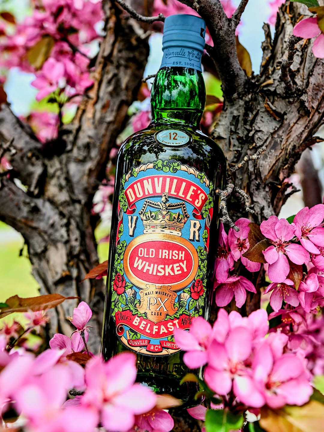 Post 2001 in a row and it has to be this stunner.
Every year I wait til the trees blossom and then have to take a photo of a @dunvillesirishwhiskey VR PX sitting amongst the beautiful pink blossoms.
We get a VERY short 2 or 3 week window where these are on full display so you must be quick!
This is also one of my favorite whiskeys in the world and it has a significant deeper meaning as well personally.
I might just sip on this one tonight!
What will you be sipping?
.
.
.
.
.
#whiskey #irishwhiskey #beautiful #spring #blossom