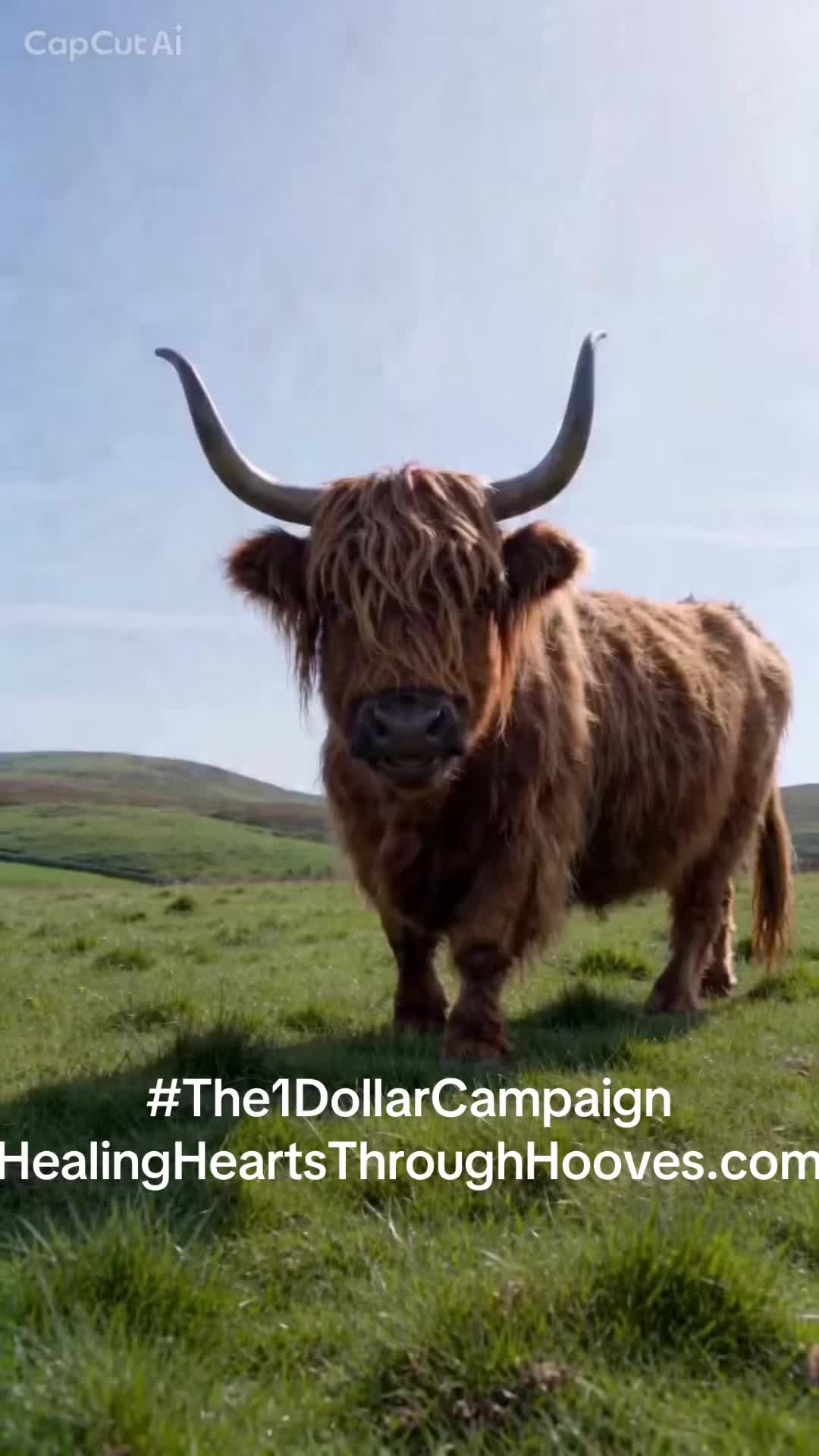 Y’all feeling it yet?? https://www.zeffy.com/en-US/donation-form/dollar1-campaign #the1dollarcampaign @ol