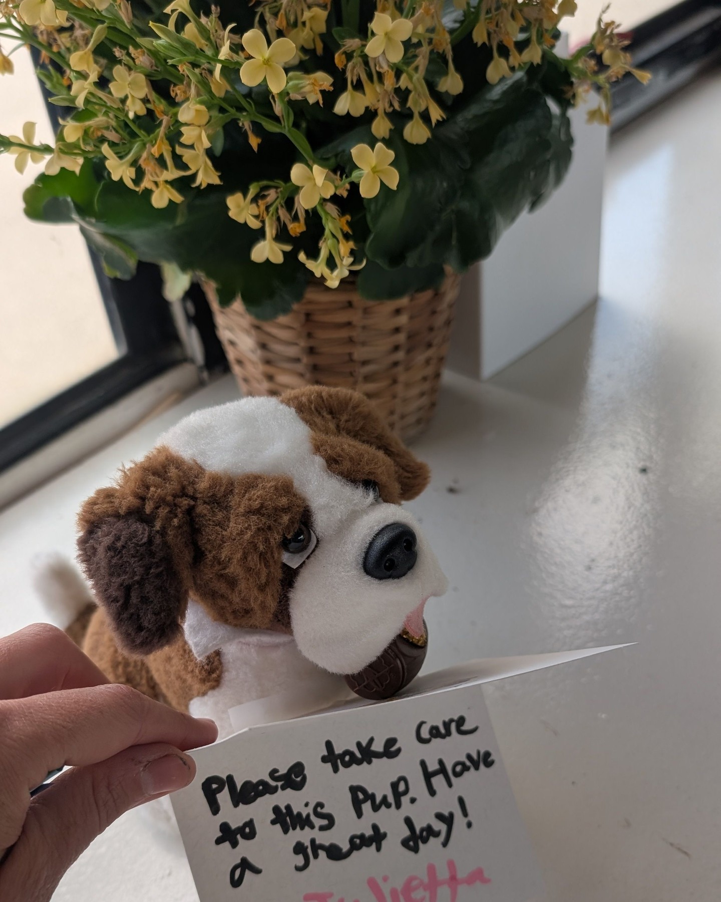 Part of the magic of the bus is that it truly becomes their space. 💛🚌✨
Our campers don’t just ride the bus — they help shape the culture of it. They take ownership of the learning space, care for the materials, welcome new friends, and look out for one another.
This sweet note was left by a longtime camper who wanted to make sure our newest adventurers knew this little stuffed pup was part of our shared bus family too. 🐶🥹
“Please take care of this pup. Have a great day!” might just sum up the kind of community we hope to build every summer.
Learning is magical when kids feel like they belong. ✨
#LearningAdventureBus #PlaceBasedLearning #SummerCampMagic #ExperientialLearning #ChildhoodUnplugged #LearningThroughAdventure #LoudounCountyKids #CampCommunity