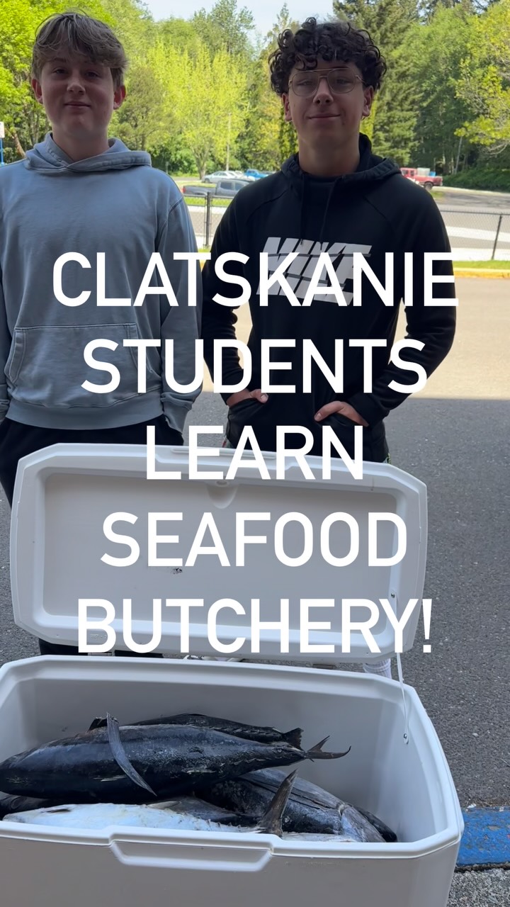 Did you know!? Students in our local schools are learning how to break down whole fish, right in the classroom!
This seafood butchery program gives students real, hands-on experience with local seafood and a better understanding of where it comes from. For many, it’s their first time working with whole fish.
Over the past two years, students have worked with Dungeness crab, shrimp, lingcod, blackcod, rockfish, Petrale sole, albacore, salmon, oysters, clams, and even seagreens!
We’ve supported this program through distribution, storage, and coordination, and we’re grateful to be part of it.
Grateful to @thepeoplescoast , @oregonseafare, teachers, fishers, processors, and all the partners helping make this program possible. Proud to see our school involved!
We’d love to see this continue and we’re excited to start planning for it!
Funded by Northwest Oregon Works, Maritime Funds, and the Oregon Department of Education Farm to CNP Education Grant.
Follow along at @oregonseafare and sign up for their newsletter
For more information or questions about Seafood Butchery and Live Systems training contact: Maggie Michaels, maggie@thepeoplescoast.com
Thanks to donors & partners @pacificseafood @oregonalbacore @bornsteinseafoods @oceanbeautyseafoods_astoria @localoceanseafoods @centralcoastfoodweb @seabrespremiumseafood