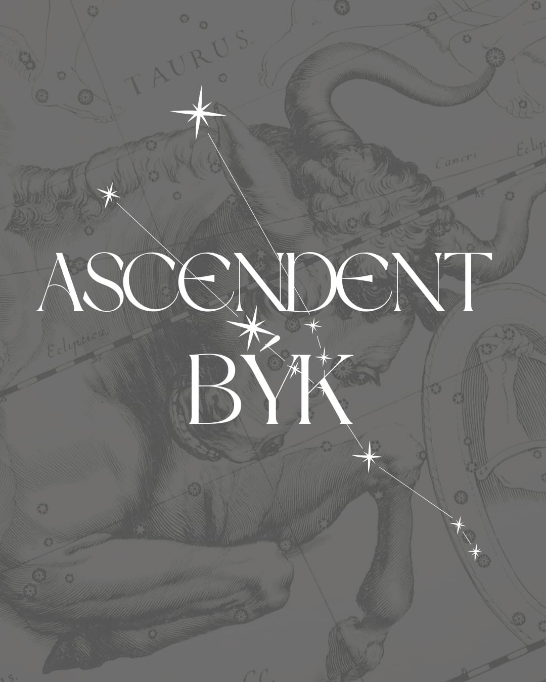 #taurus #thebull #byk #ascBYK #ALTAIRASTROLOGY