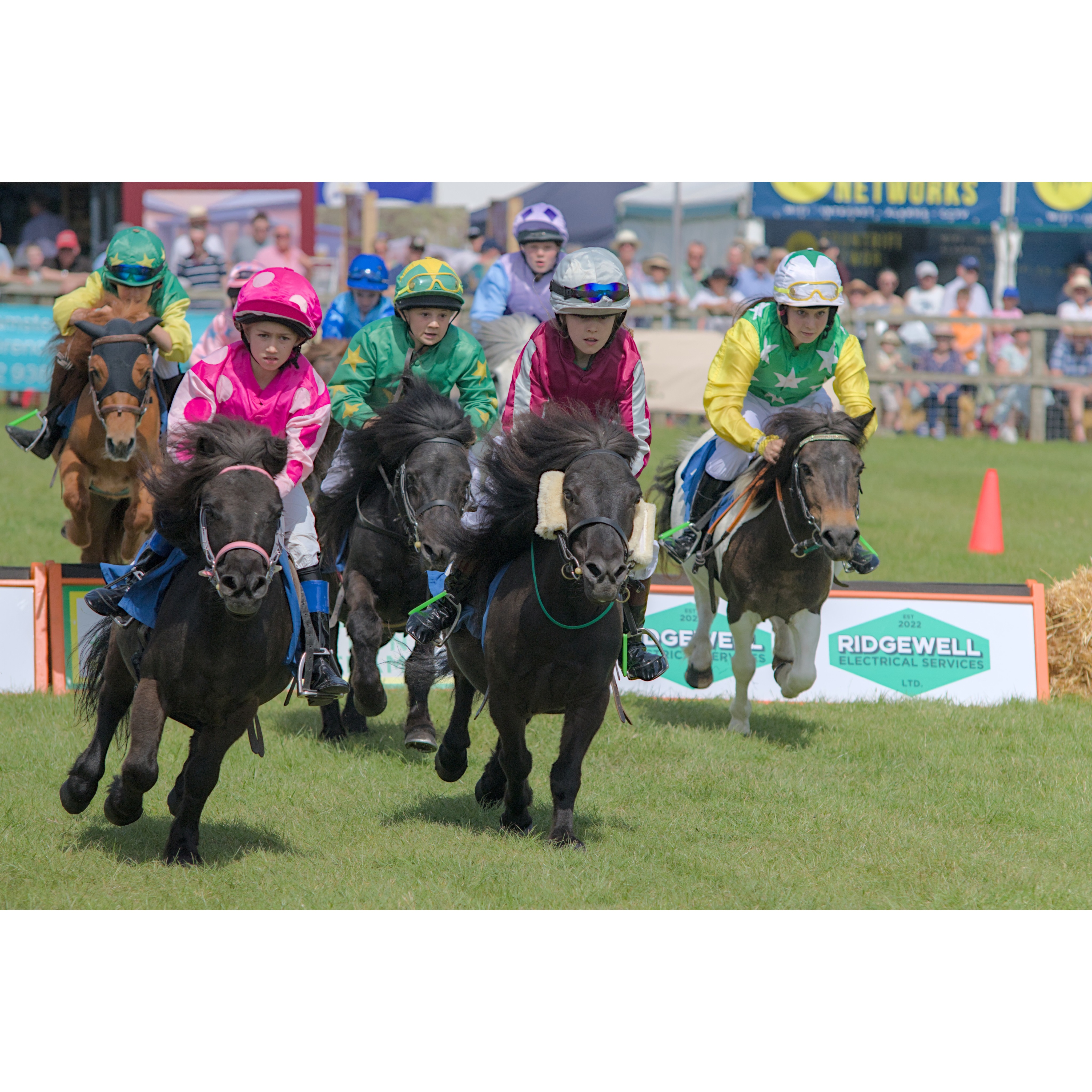 Some of my favourite shots from this years @hertscountyshow
#hertsshow #countyshow #eventphotography #hertfordshire #photography