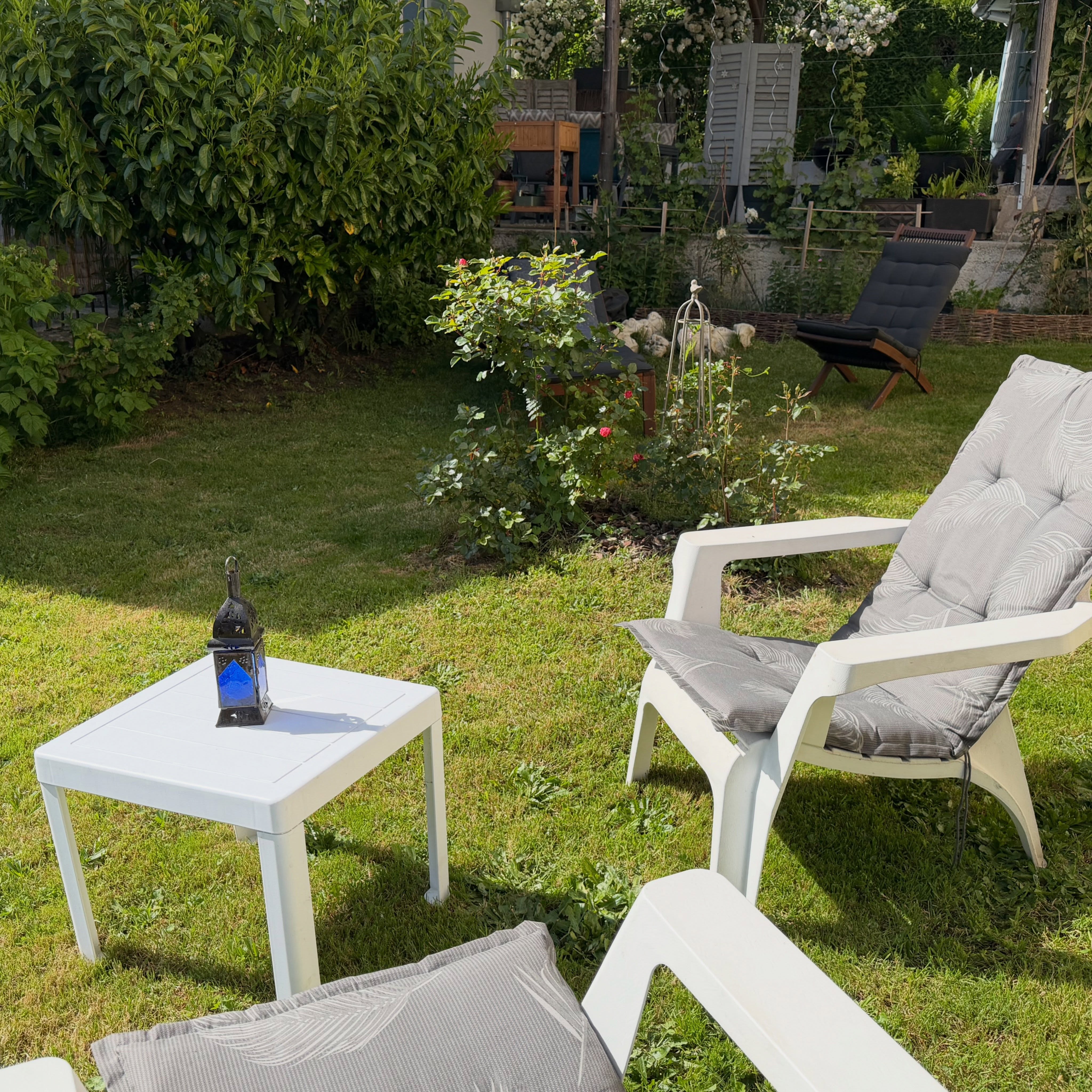 🌿 Un écrin de biodiversité au cœur du Pays horloger
Chez nous, la terrasse ombragée est un havre où vigne, tomates, plantes aromatiques et fleurs cohabitent pour favoriser la biodiversité. Le jardin, lui, invite à la détente, bercé par le bourdonnement des pollinisateurs et le chant des oiseaux.
Fiers ambassadeurs du Parc naturel du Doubs horloger, nous sommes ravis d’avoir obtenu cette année la marque Valeurs Parc ! Une reconnaissance qui reflète notre engagement pour un tourisme responsable, en harmonie avec les valeurs de préservation des paysages, de respect de l’environnement et de soutien à l’économie locale.
Ici, chaque détail compte pour offrir une expérience authentique et durable. 🍃
#TourismeResponsable #ValeursParc #DoubsHorloger #chambresdhotes #biodiversité