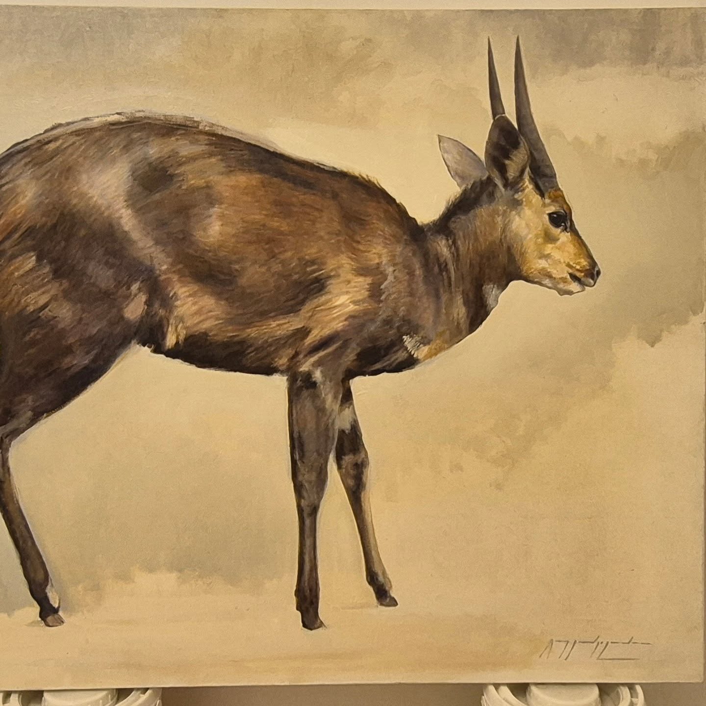On the easel. Working on an Aberdare Bushbuck. This beauty came and hung out with us at our camp site, even gently nuzzling us. Very cool #artforsale #oilpaintings #wildlifeoilpainting #artcollector