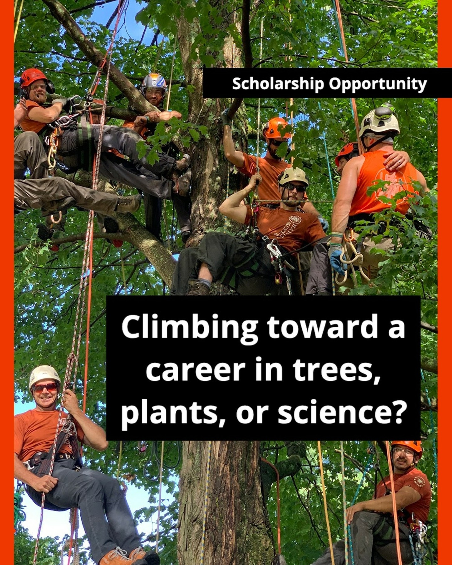 🌳✨ Last call for high school seniors passionate about science, horticulture, or the wonderful world of trees! Apply today for a scholarship for students planning to study arboriculture or plant health care or biotech or horticulture! 🌱💚 harrisonmcphee.com/scholarship-application
This is your chance to take a step toward a fulfilling career that not only helps you grow as an individual but also contributes to the health of our planet. Whether you're fascinated by the intricacies of plant biology, eager to learn about sustainable practices, or passionate about promoting greener communities, this scholarship could be the perfect opportunity for you! 🌍🌟
Don’t miss out on the chance to secure financial support for your studies and make your dreams a reality! To apply, make sure to check the eligibility criteria and submit your application before the deadline. We can’t wait to see how you’ll contribute to the future of arboriculture and plant health care!
Spread the word and tag your friends who might be interested! Let's cultivate a greener future together! 🌿💪
#Arboriculture #PlantHealthCare #Horticulture #ScholarshipOpportunity #FutureTreeHeroes #SustainableLiving #GreenCareers #NatureLovers