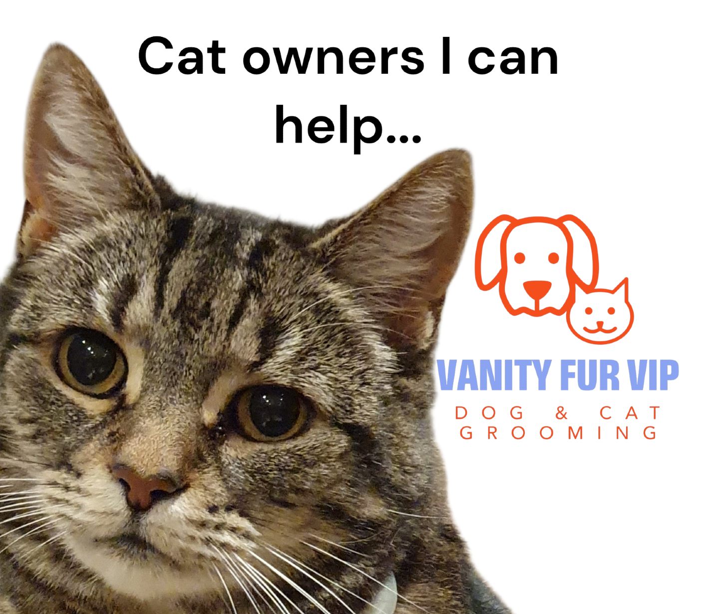 🧡 The cat owners I really want to help… 🧡
Are the ones who have been putting off getting their cat groomed because they’re worried their cat won’t cope, will become stressed, or simply won’t tolerate being handled by someone else.
Their cat may have matting, and they may be at the point where they don’t know what the best thing to do is.
It could also be that they didn’t even realise cat grooming was a thing, so they have been trying to manage grooming their cat at home.
If that sounds like you, please don’t feel embarrassed. I am here to help you and your cat.
I want cat owners to feel able to have a conversation with me about their cat and the best way forward, without feeling bad.
Working with me is about helping cats feel more comfortable, supporting their coat health, and finding the best way forward for the cat in front of me.
➡️ Who can I help?
Elderly cats, kittens who need to get used to grooming introduction, cats with matting, nervous cats, long-haired cats, short-haired cats. Cats who are struggling to manage their coat.
If this sounds like you and your cat, you are exactly the kind of owner I’d love to hear from.
Cat grooming is launching soon at Vanity Fur VIP.
Message me or call 07787 046684 to join the cat grooming waitlist.
Love,
Melanie @ Vanity Fur VIP x
#vanityfurvip
#northyorkshirepets
#catgroomingcomingsoon
#catgroomer