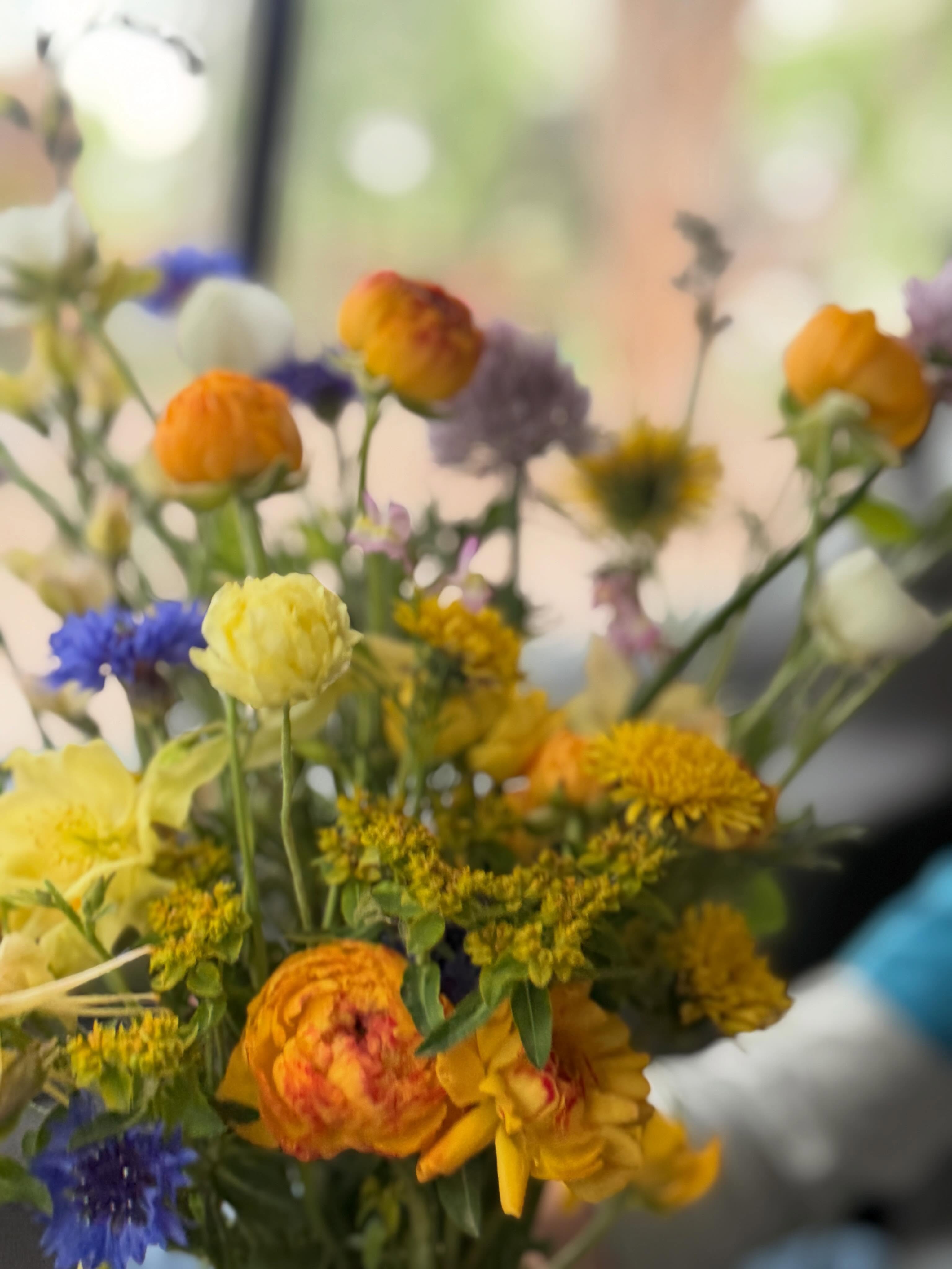 Just some spring blooms from my camera roll. š Ask me how I track what I have? Itās in my photos folder. I love spreadsheets, but donāt always have the time on the farm to stop and add data. Do you have a favorite way to keep track of things?