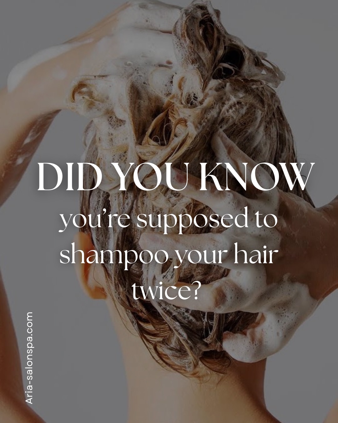 Stylist Tip šš¼
Did you know you should always shampoo twice?
The first cleanse breaks down product buildup, oil, and sweat.
The second cleanse is what actually gives your scalp and hair that deep, refreshing clean.
Think of it like double cleansing your skin ā the first removes the surface buildup, the second does the real work!
Healthy hair starts with a healthy scalp š«§
Next time you wash, donāt skip the second shampoo, your hair will thank you!