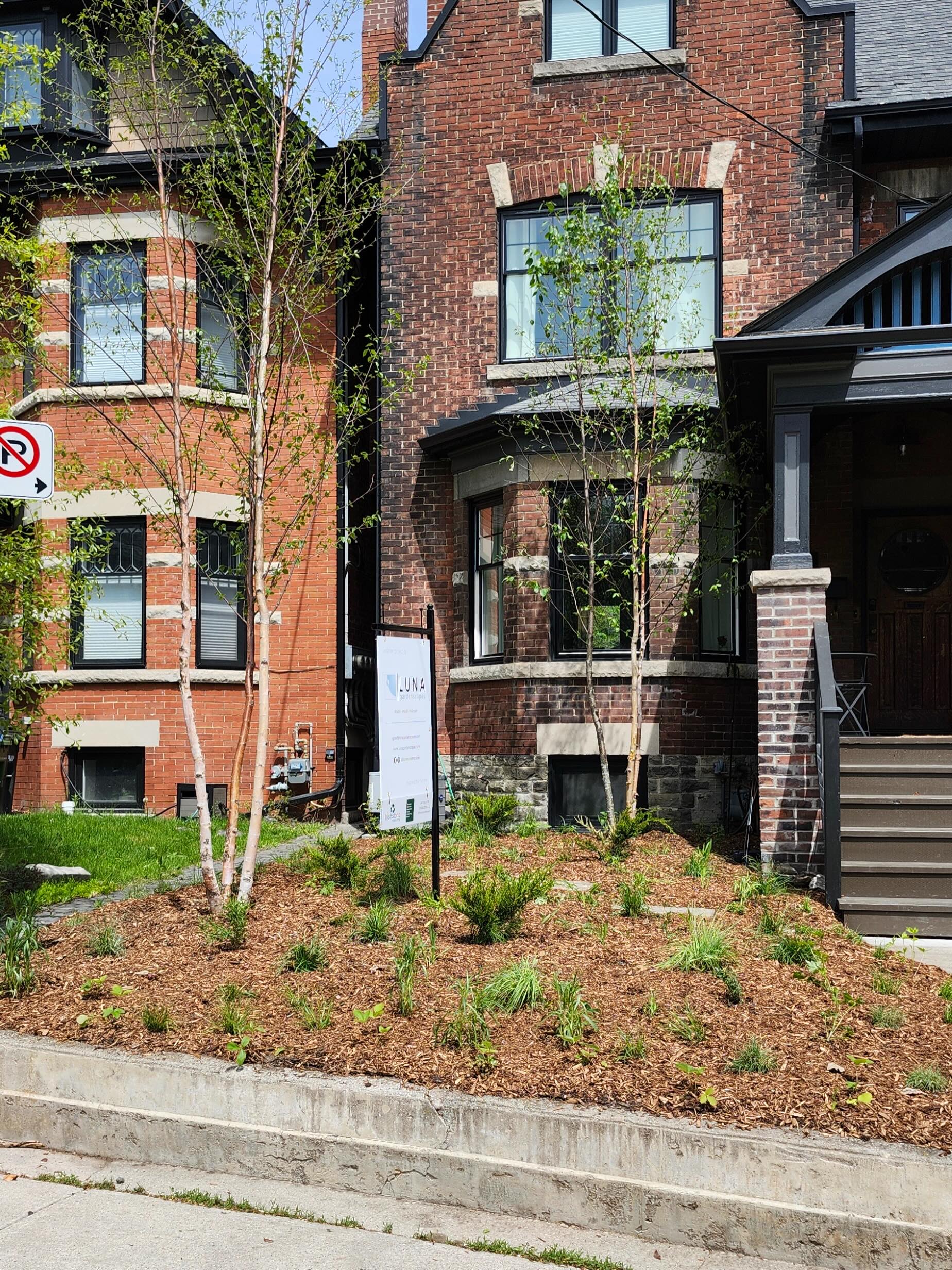 Trading turf for habitat! ๐ฟ
We smothered this front lawn to make way for pollinators, biodiversity, and a whole lot more life ๐
#lunagardenscapes
#nativegarden
#torontogardens
#torontolandscapes
#womenintrades
