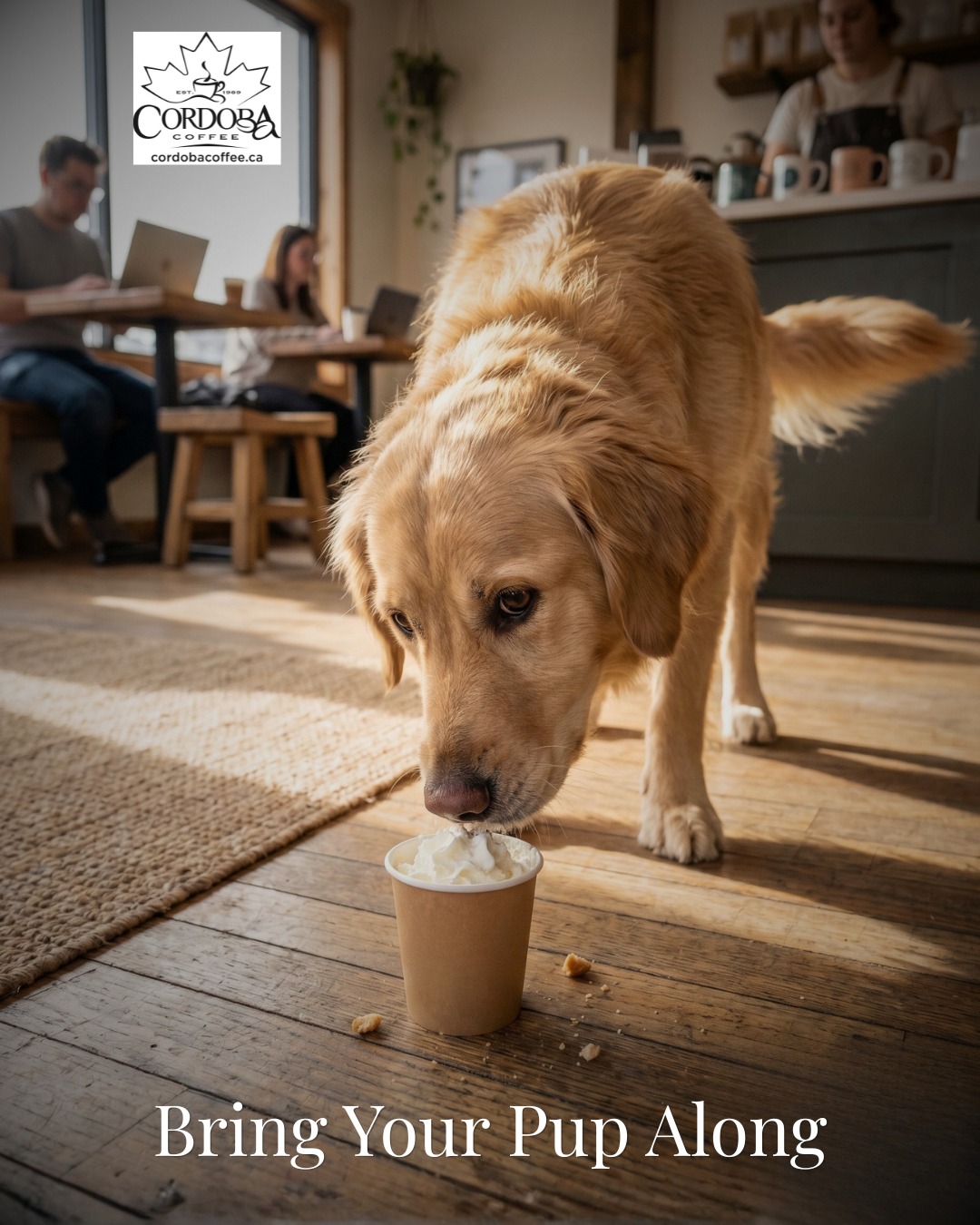 Your coffee run just got better. Bring your dog for a chance to be featured as our Pup of the Month and enjoy a complimentary pup cup.
👉 Visit us and let your pup join the fun 🐾☕
#cordobacoffee #pupcup #campbellscrossfarm #dogfriendly #farmfun #dogsofinstagram #caledon #discoverontario