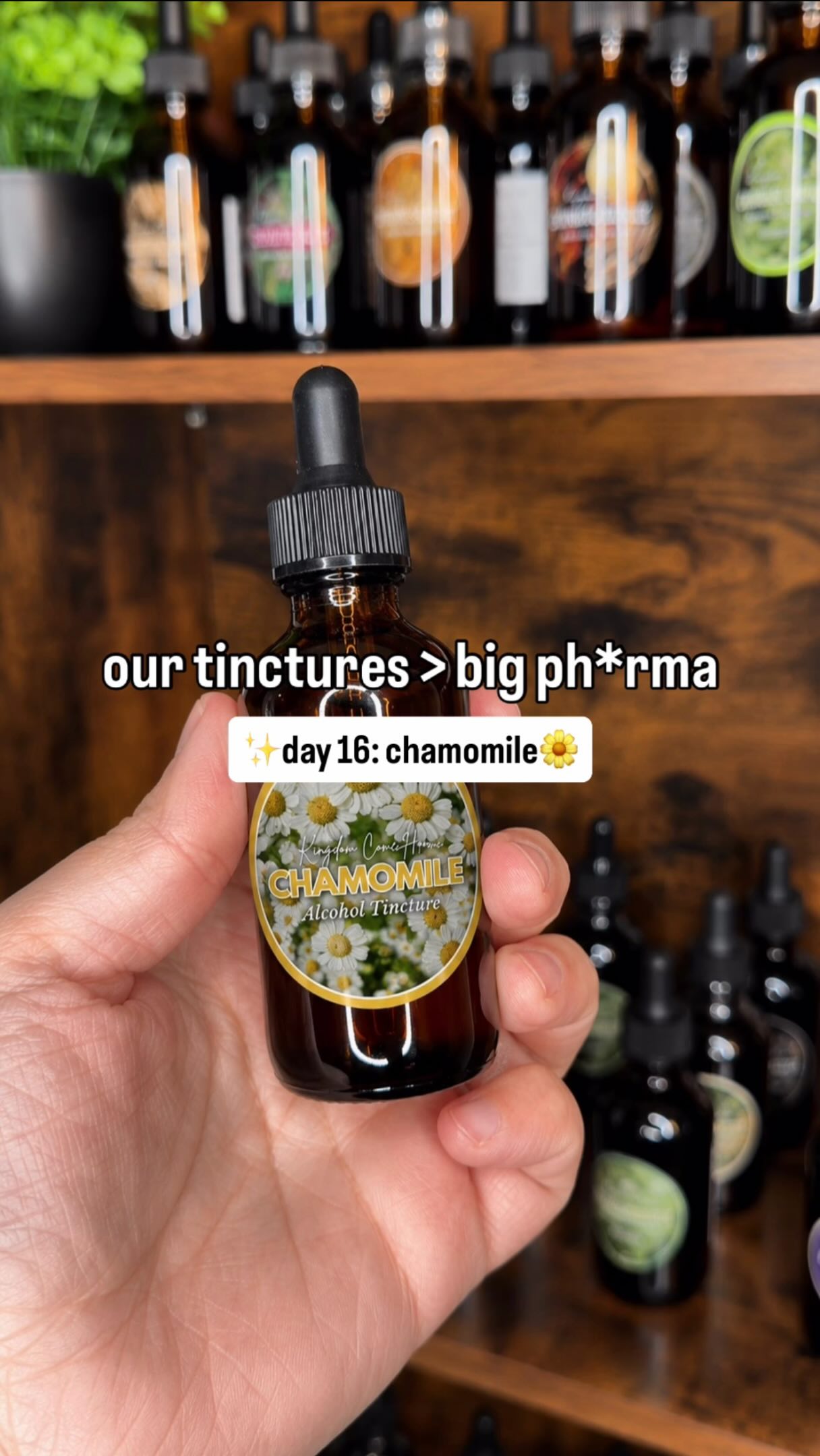 DAY 16: Chamomile Tincture🌼
What It Is:
A calming, soothing tincture traditionally used to support relaxation, sleep, digestion, mood balance, hormone comfort, and overall nervous system wellness🤍
Who It’s For:
👉🏼Stress, overwhelm, or feeling constantly anxious
👉🏼Trouble falling or staying asleep
👉🏼Women dealing with PMS or hormonal mood swings
👉🏼Muscle tension or feeling physically wound up
👉🏼Digestive discomfort or upset stomach
👉🏼Anyone wanting to feel calmer, more rested, and more balanced naturally
Why It’s a Must Have:
Chamomile is SO much more than just a random ingredient in sleepy-time tea🌼 It helps support your nervous system, digestion, sleep, mood, muscle relaxation, and overall stress response all at the same time.
🔗Comment “TINCTURE” below and we’ll send you the details!
—
#chamomile #herbaltincture #holisticwellness #naturalremedies #nontoxicliving