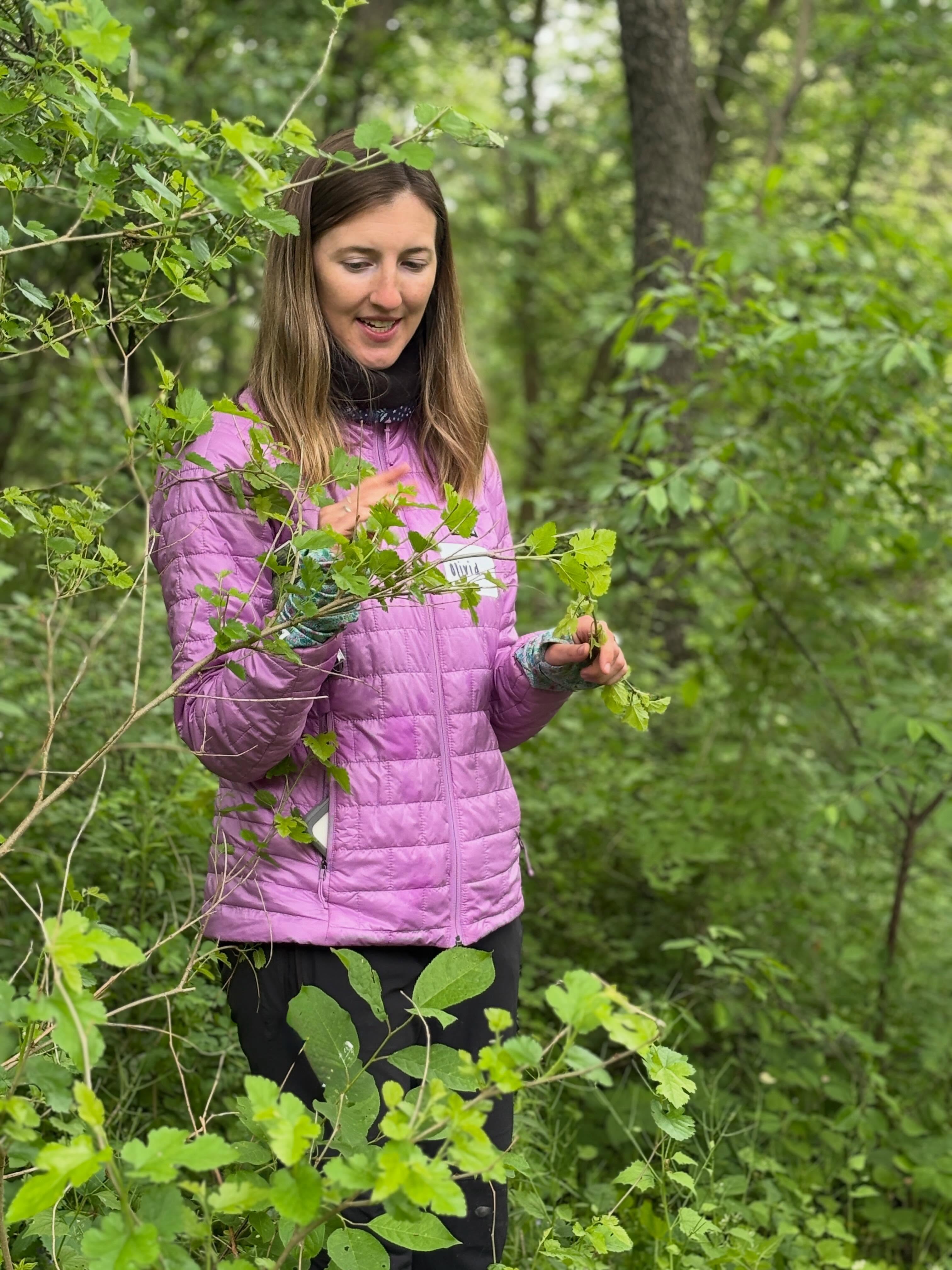 Okay, okay, fine this is the last photo dump from Thursday’s Managing Woodlands: Chainsaw Training Series for Women, we promise. 😊 These moments were just too good not to share!
It’s not every day you get to gather with 25 powerful, kind, funny women in the woods to learn about identifying and managing native and invasive woodland plants and how to use chainsaws. We wish it were, though!
So much gratitude to our instructors, Rebecca Seibel of @treespiritconsulting and natural resources educator Olivia Kovacs, for guiding us through the day. Thank you to our event partner @marbleseedorg, to @squashingtonfarm for hosting such a fabulous group of empowered women, and to @willystreetcoop for the generous donation of healthful, organic food that kept our hardworking sawyers and conservationists feeling strong throughout an eventful day.
This event was a collaboration between @michael_fields_ag (the parent organization of @wiwomenconservation) and @marbleseedorg.
See more photos from the Managing Woodlands: Chainsaw Training Series on Flickr: https://tinylink.net/tHRrI