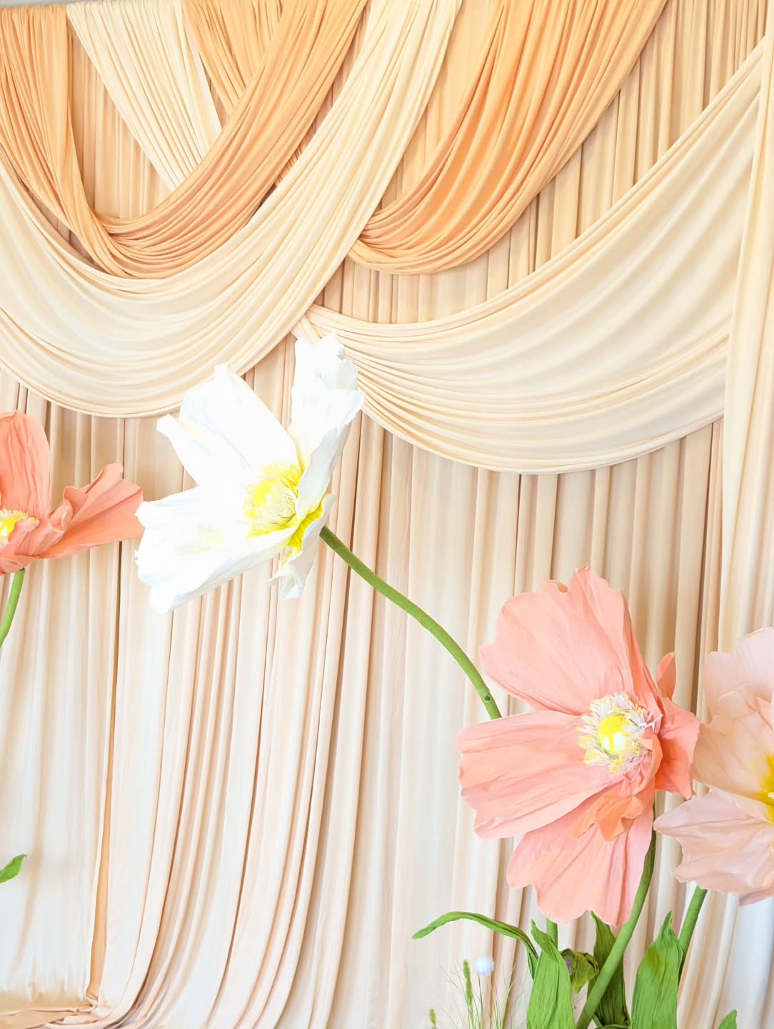 Tones & Textures 🧡
This peach‑kissed backdrop and oversized florals are ready to elevate every summer moment.
Your perfect pieces are here!! Secure your date before the season fills up.
#eventinspo #luxuryevents #peachpalette #eventbackdrops #glitzetglamor