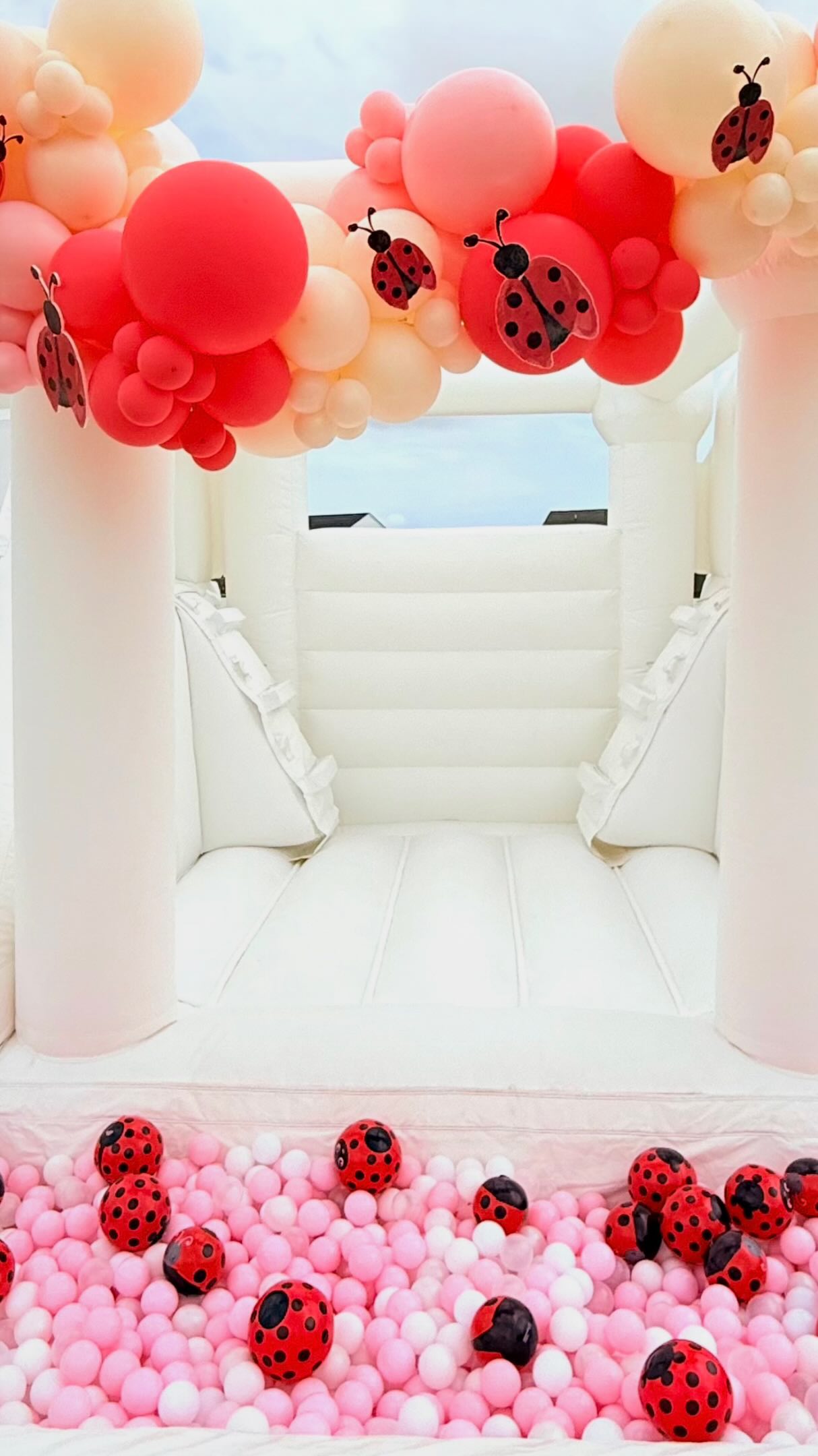 We loved being a part of sweet Lainey’s birthday 🐞💕
#bouncehouserentals #chesapeakemoms #ballpitrental #virginiabeacheventplanner #757moms